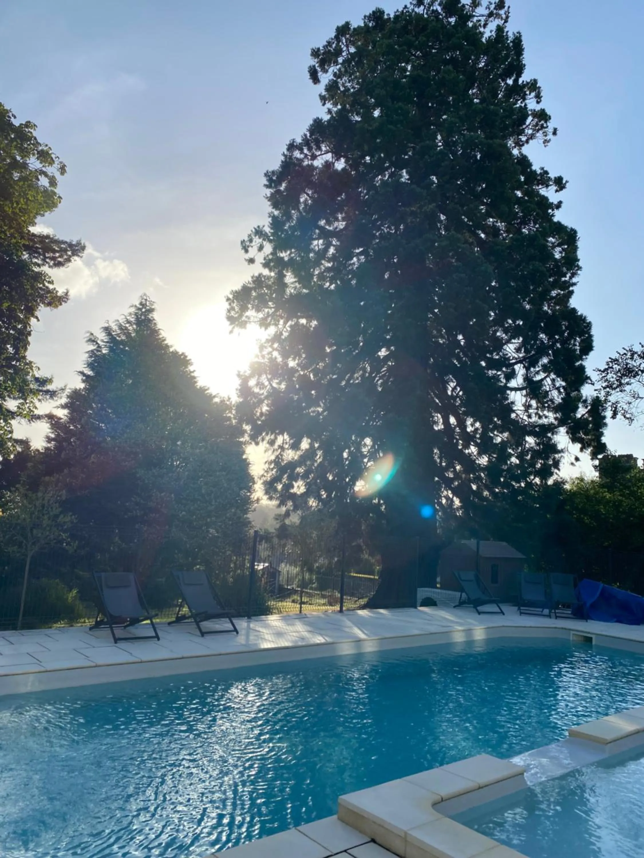 Swimming pool in Cosy Er Lann Chambres d'Hôtes