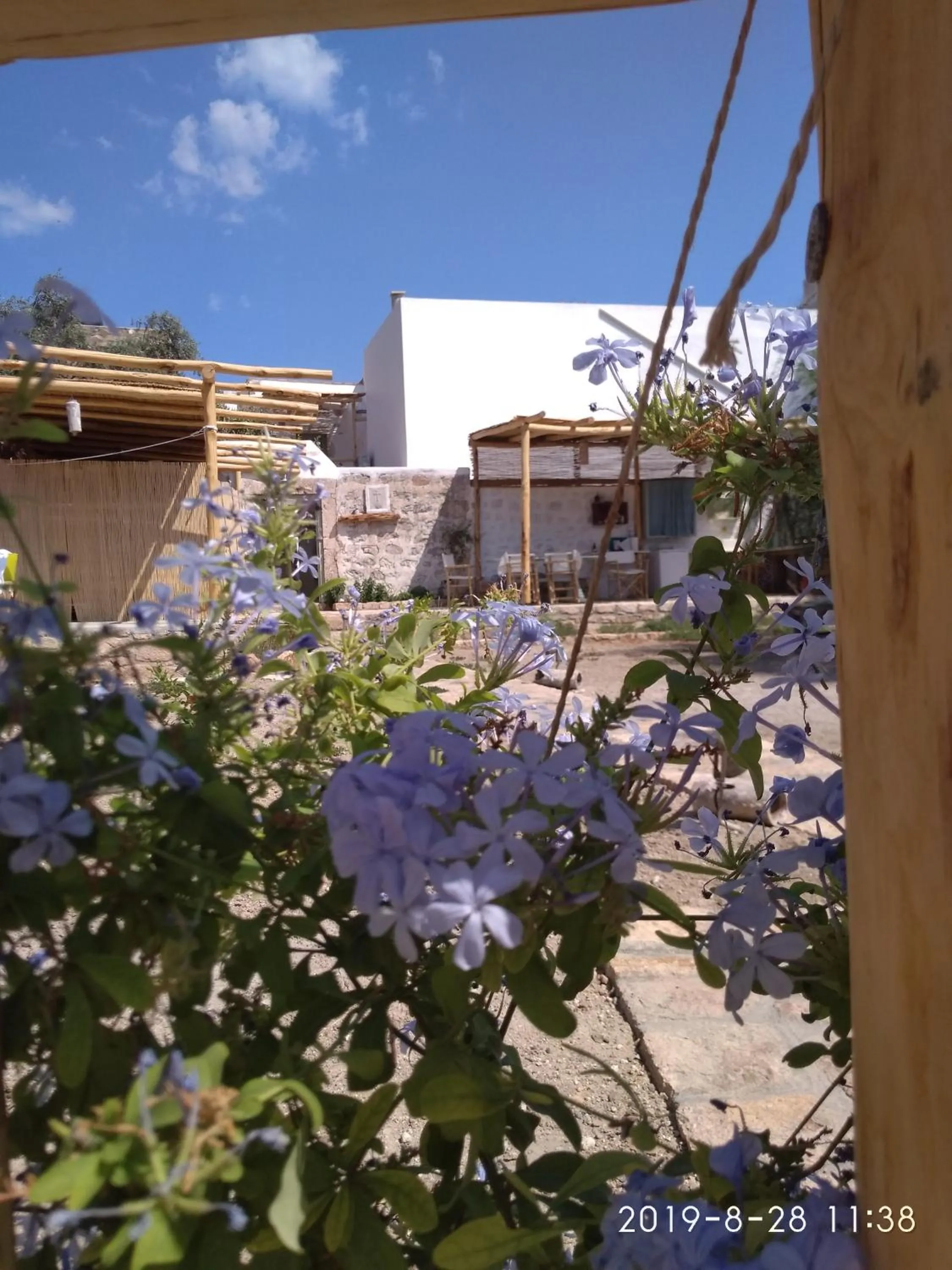 Garden in Latmos 1860