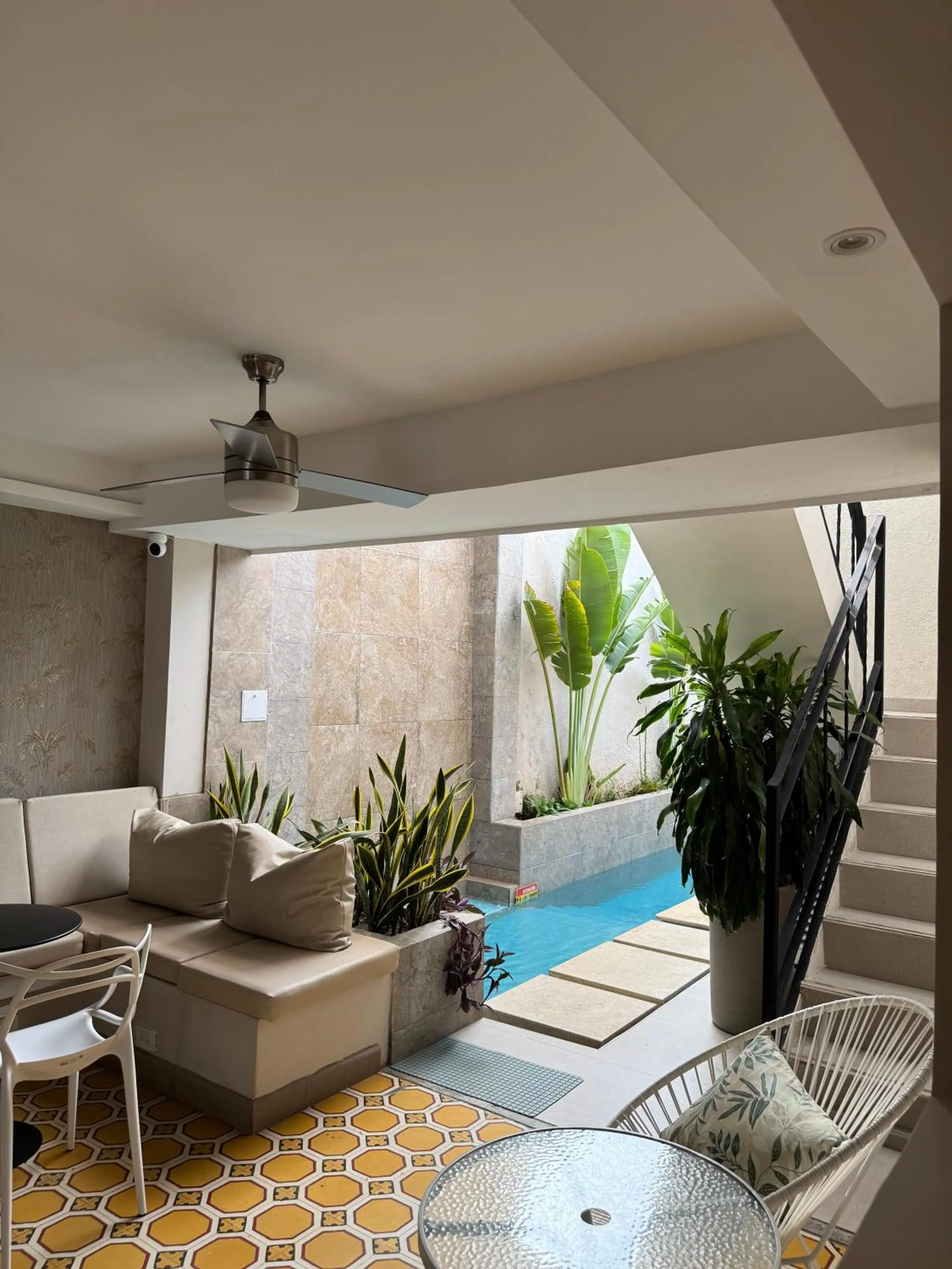 Area and facilities in Casa Roman Hotel Boutique