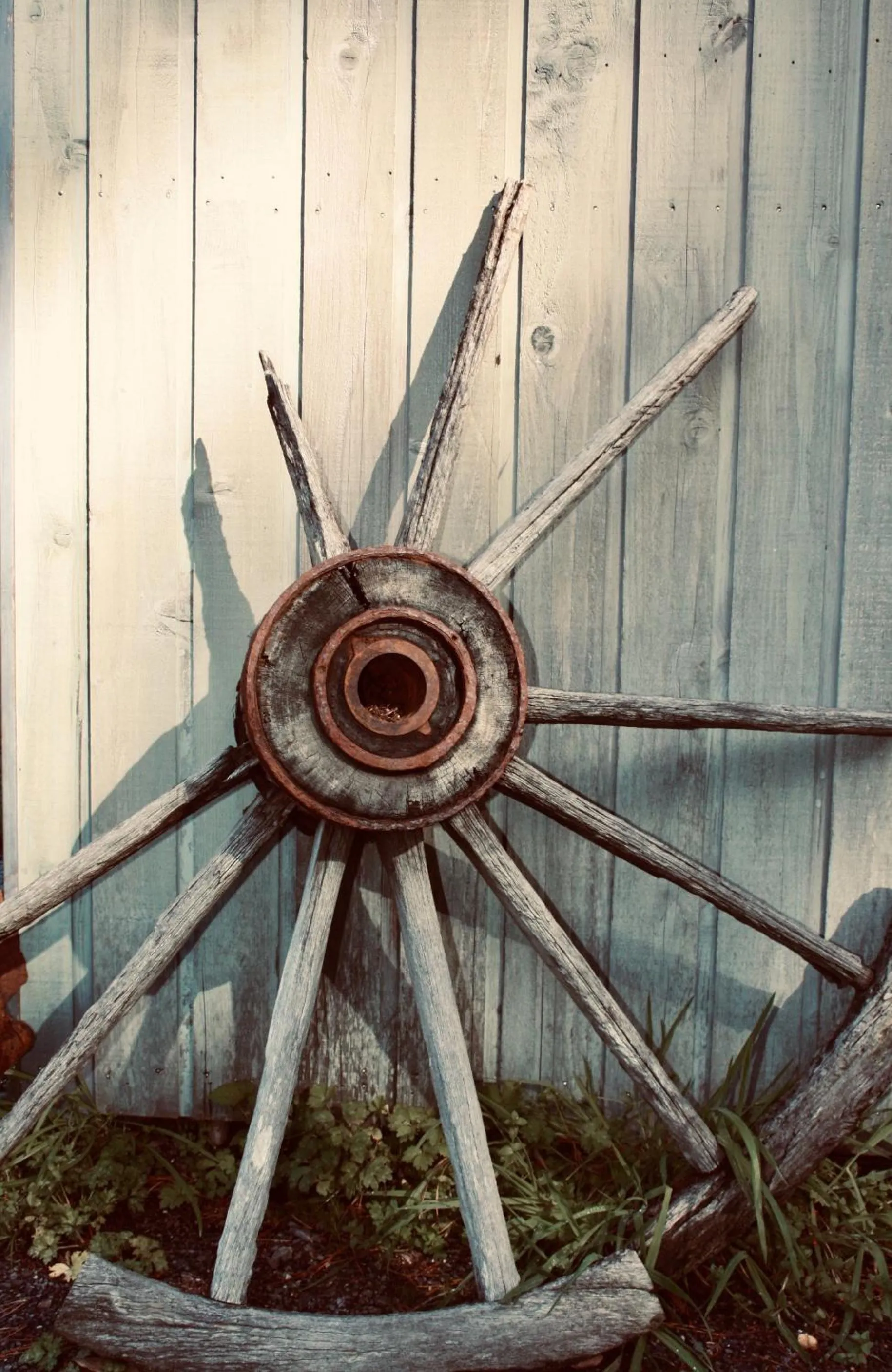 Garden in Harrison House