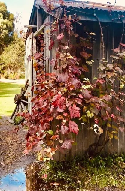Garden in Harrison House