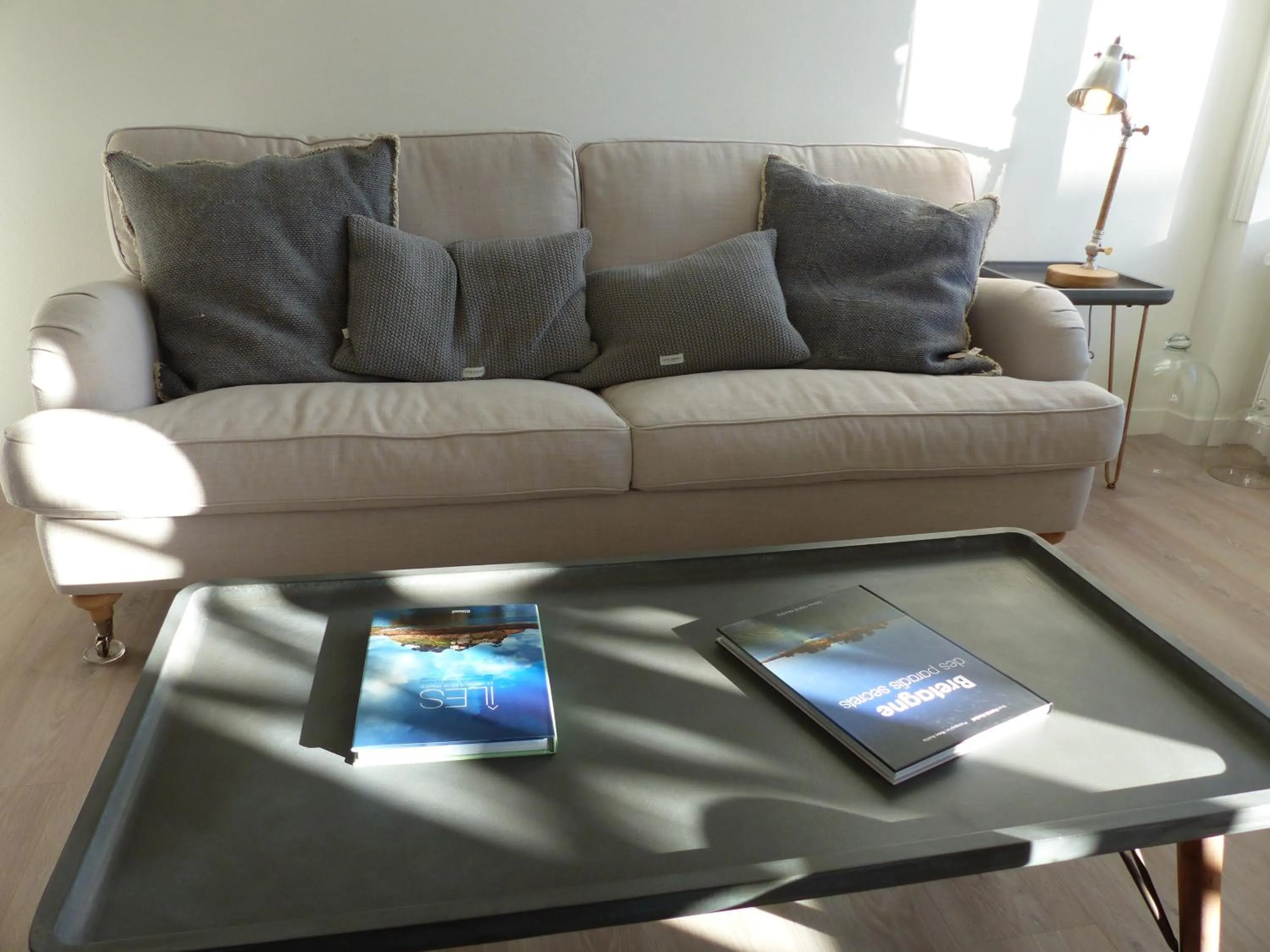 Library in Villa Les Hydrangéas