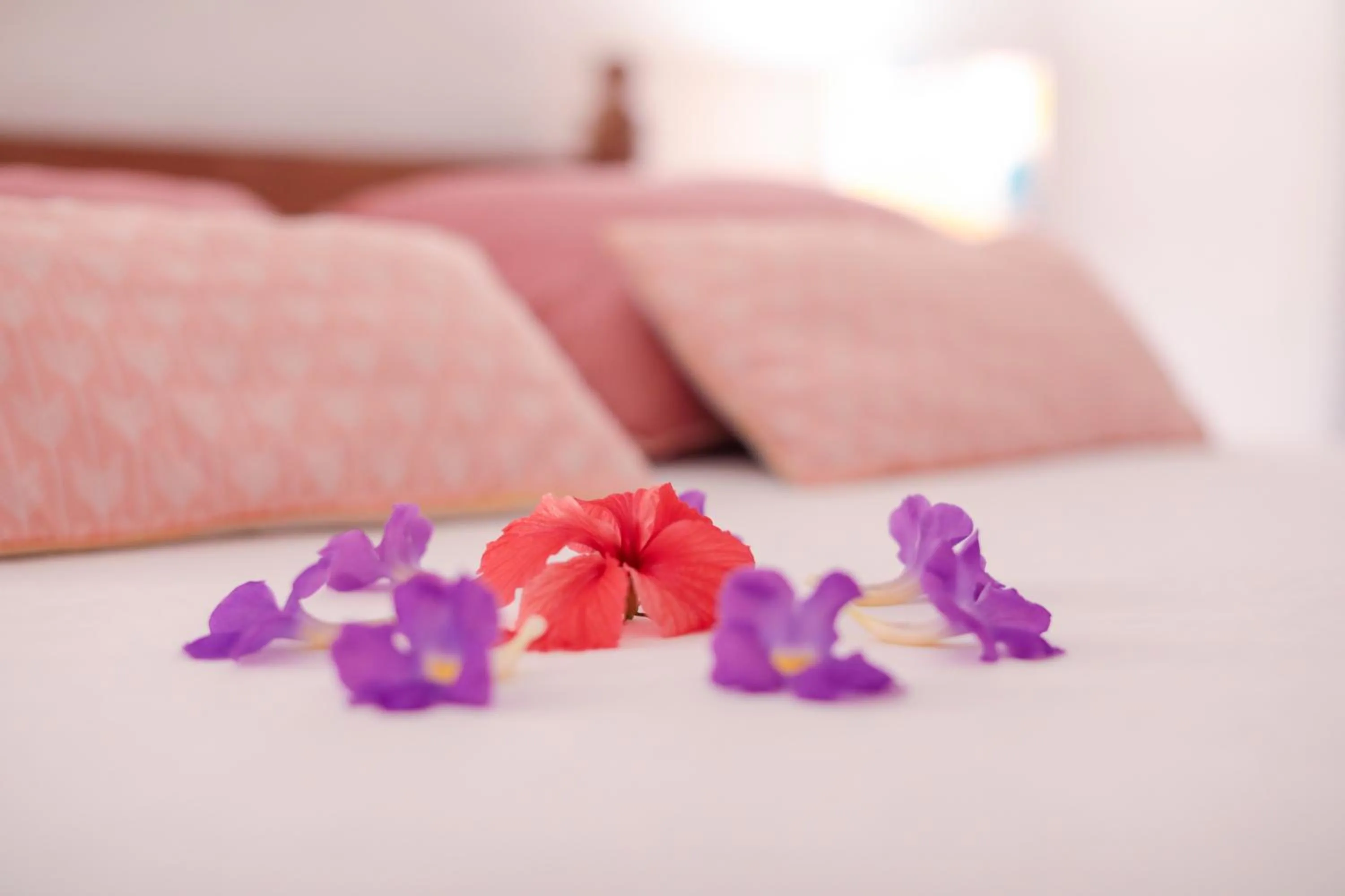 Bed in Pousada Patacho