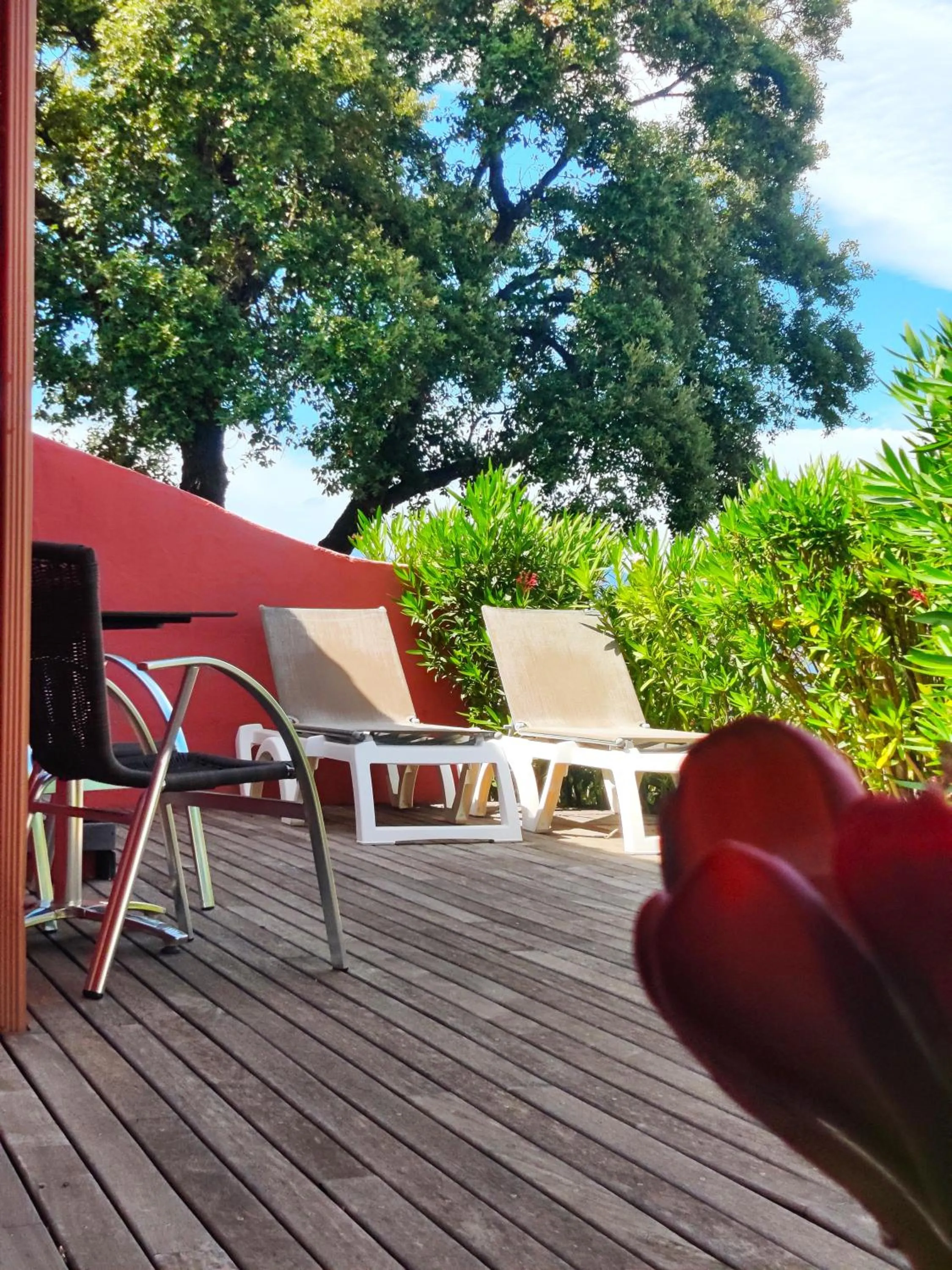 Patio in Le Roc E Fiori Hotel - Teritoria