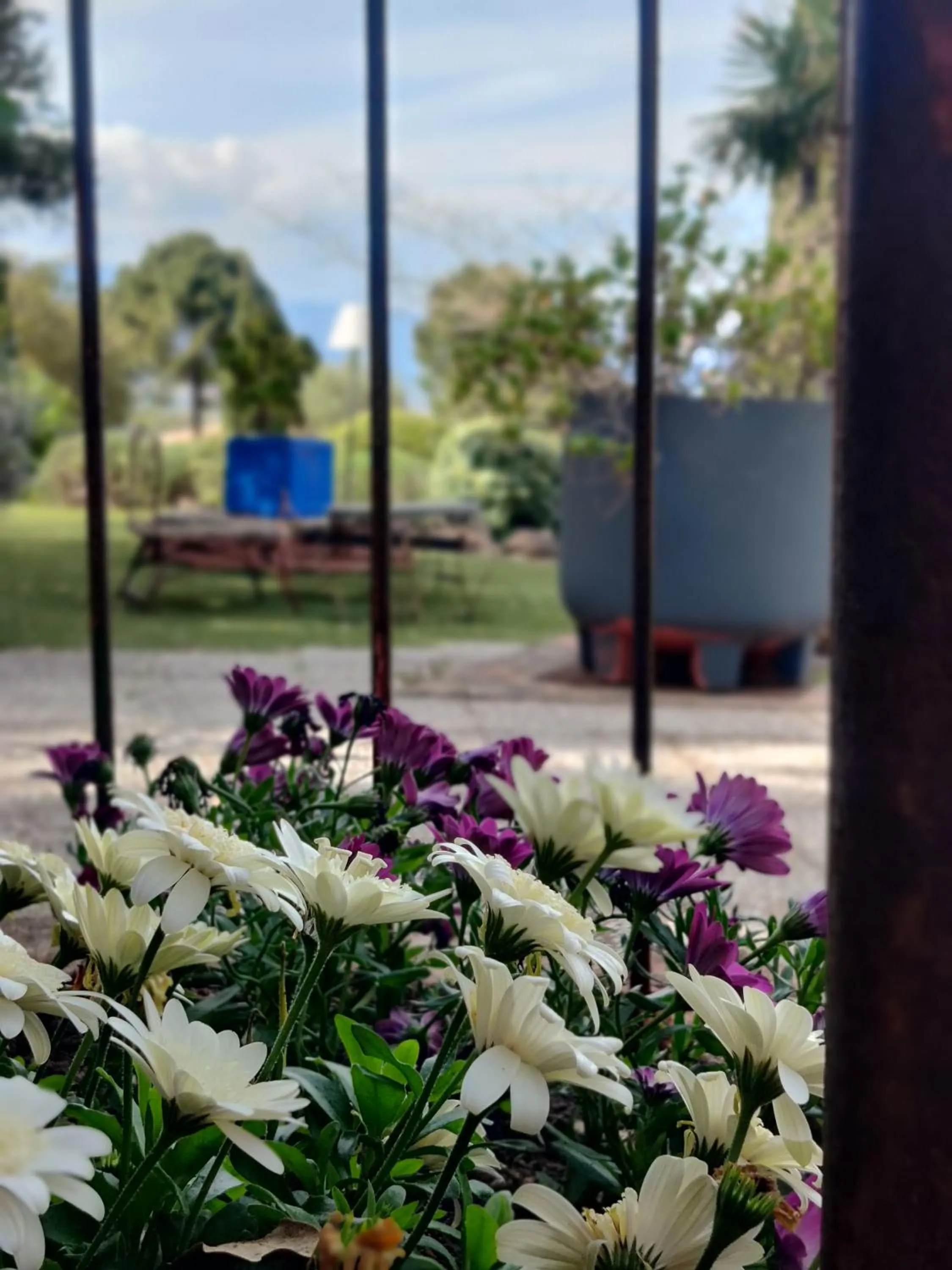 Garden in Le Roc E Fiori Hotel - Teritoria