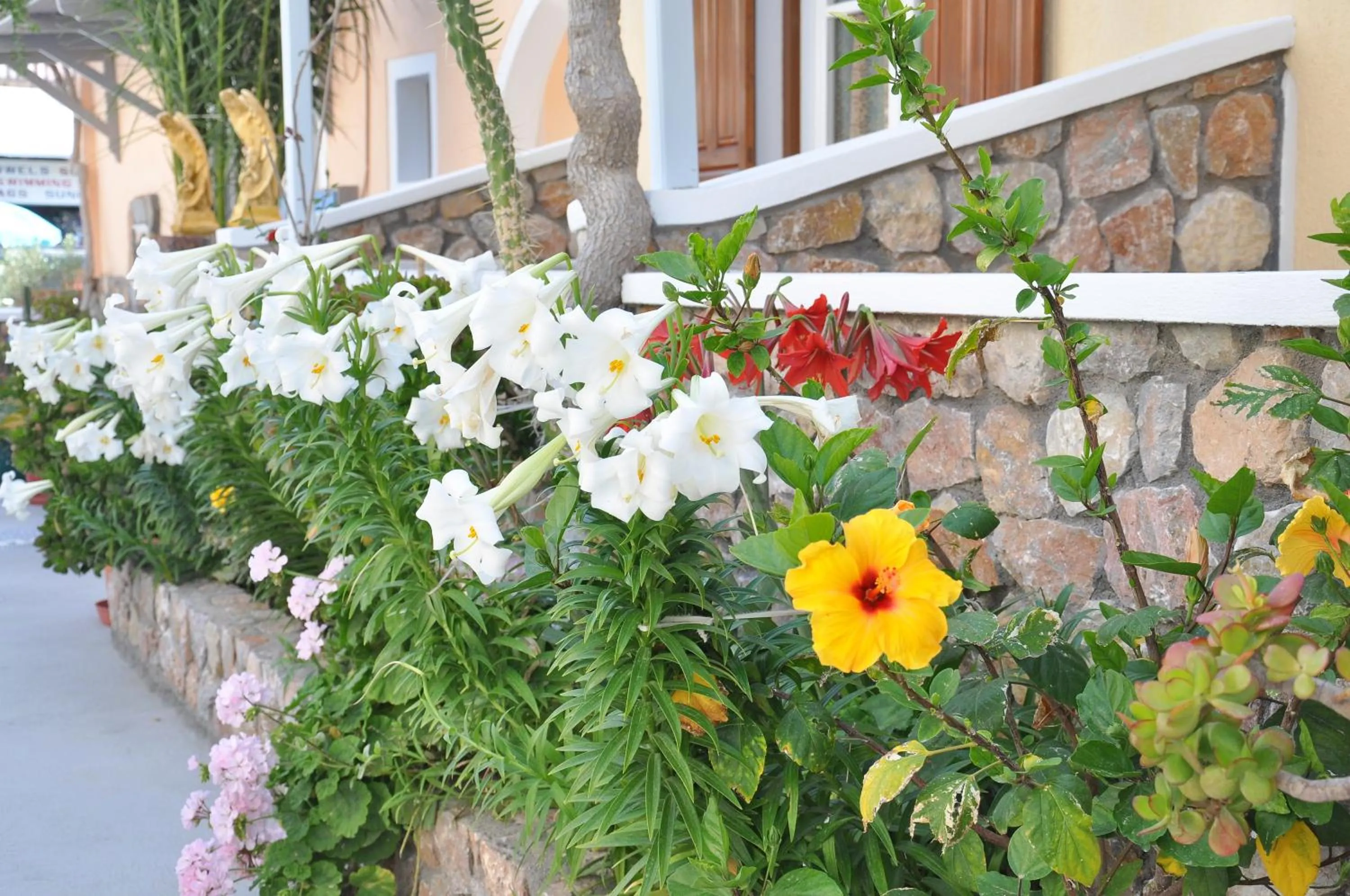 Day in Polydefkis Hotel