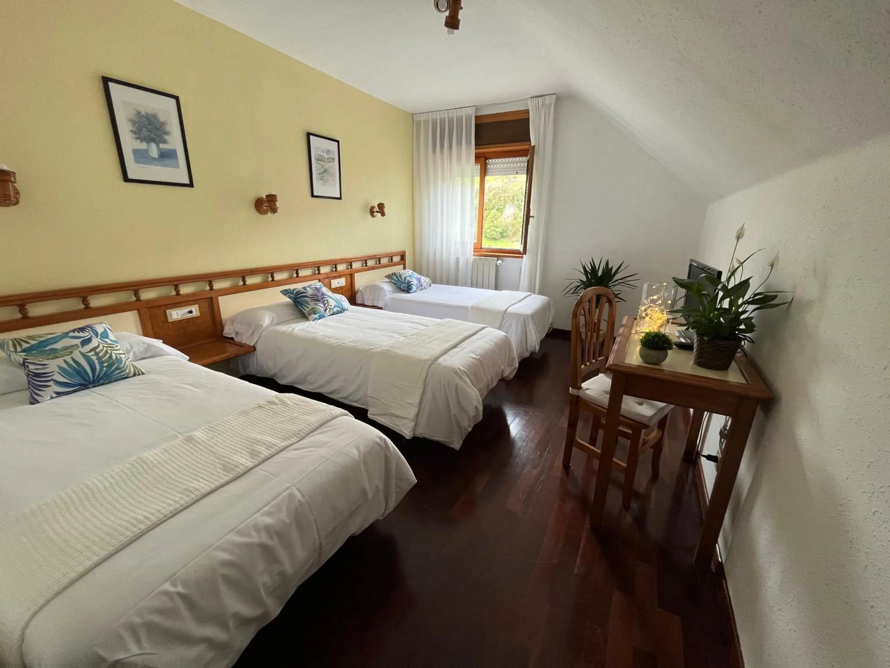 Mountain view in Hotel Capitán