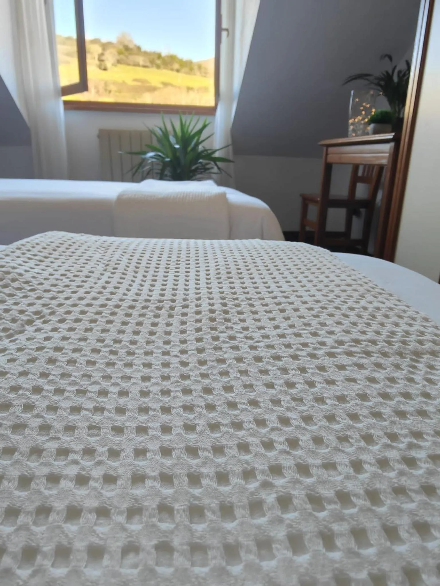 Mountain view in Hotel Capitán