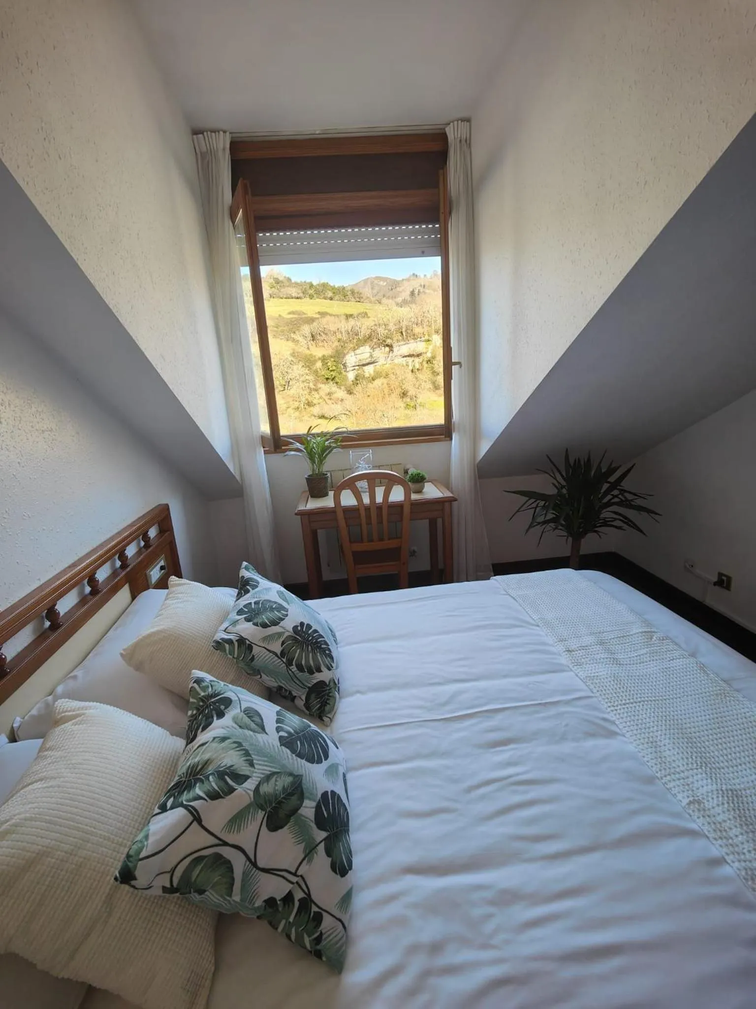 Photo of the whole room in Hotel Capitán