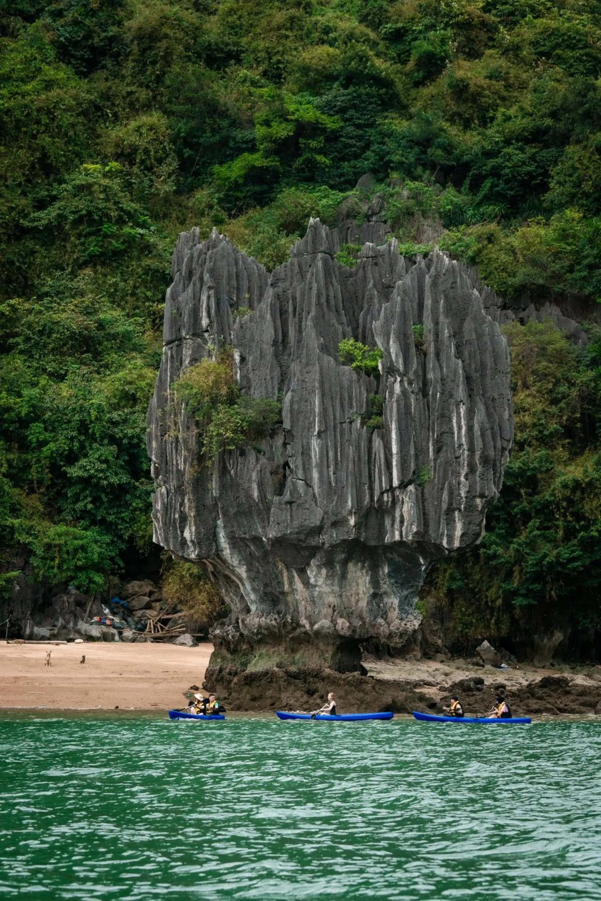 Property building in Sena Cruises - Wonder On Lan Ha Bay
