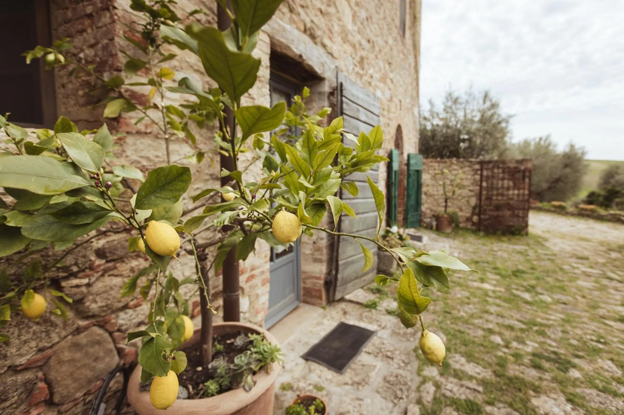 Property building in Podere Spedalone