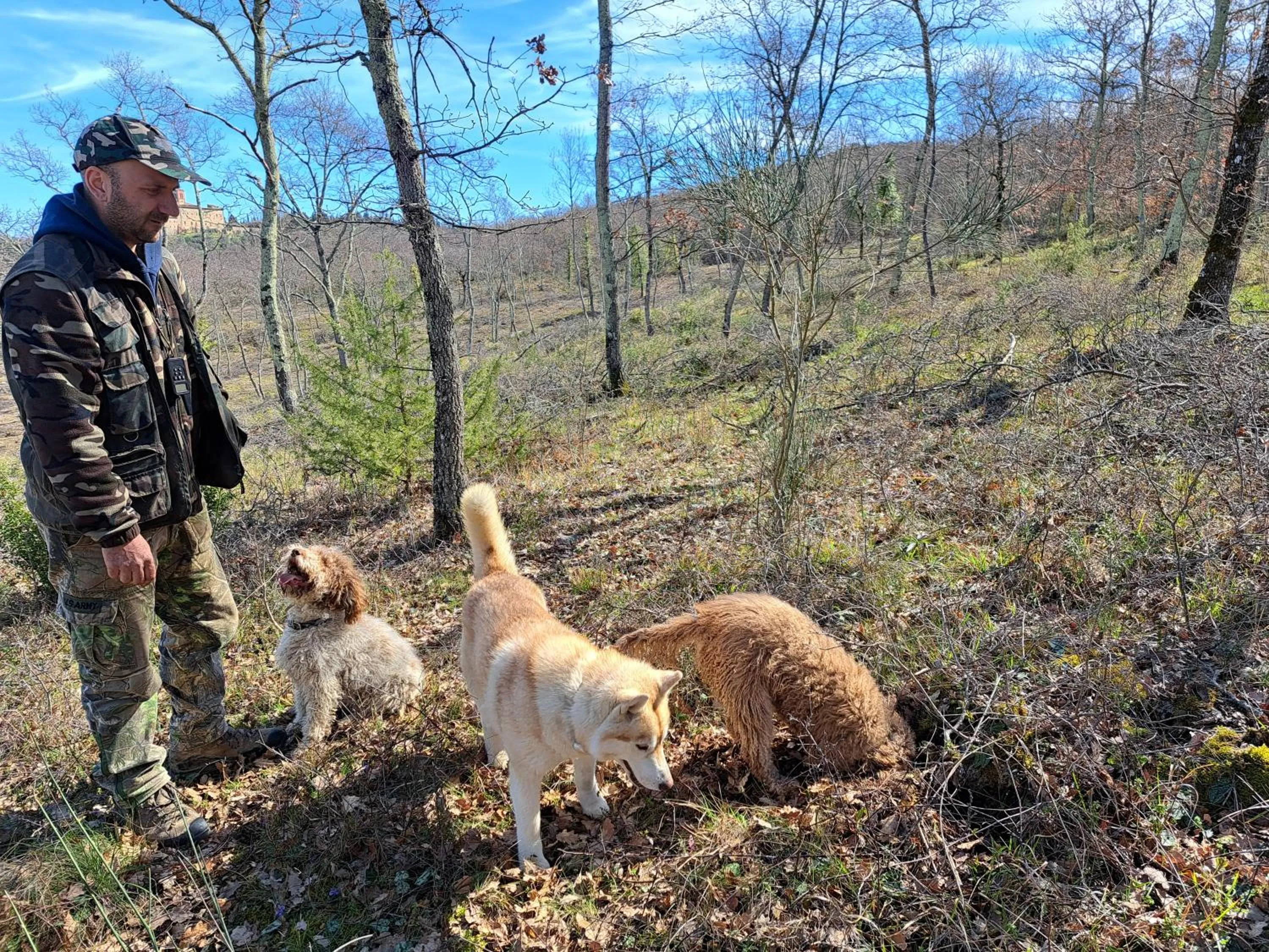 Activities in Podere Spedalone