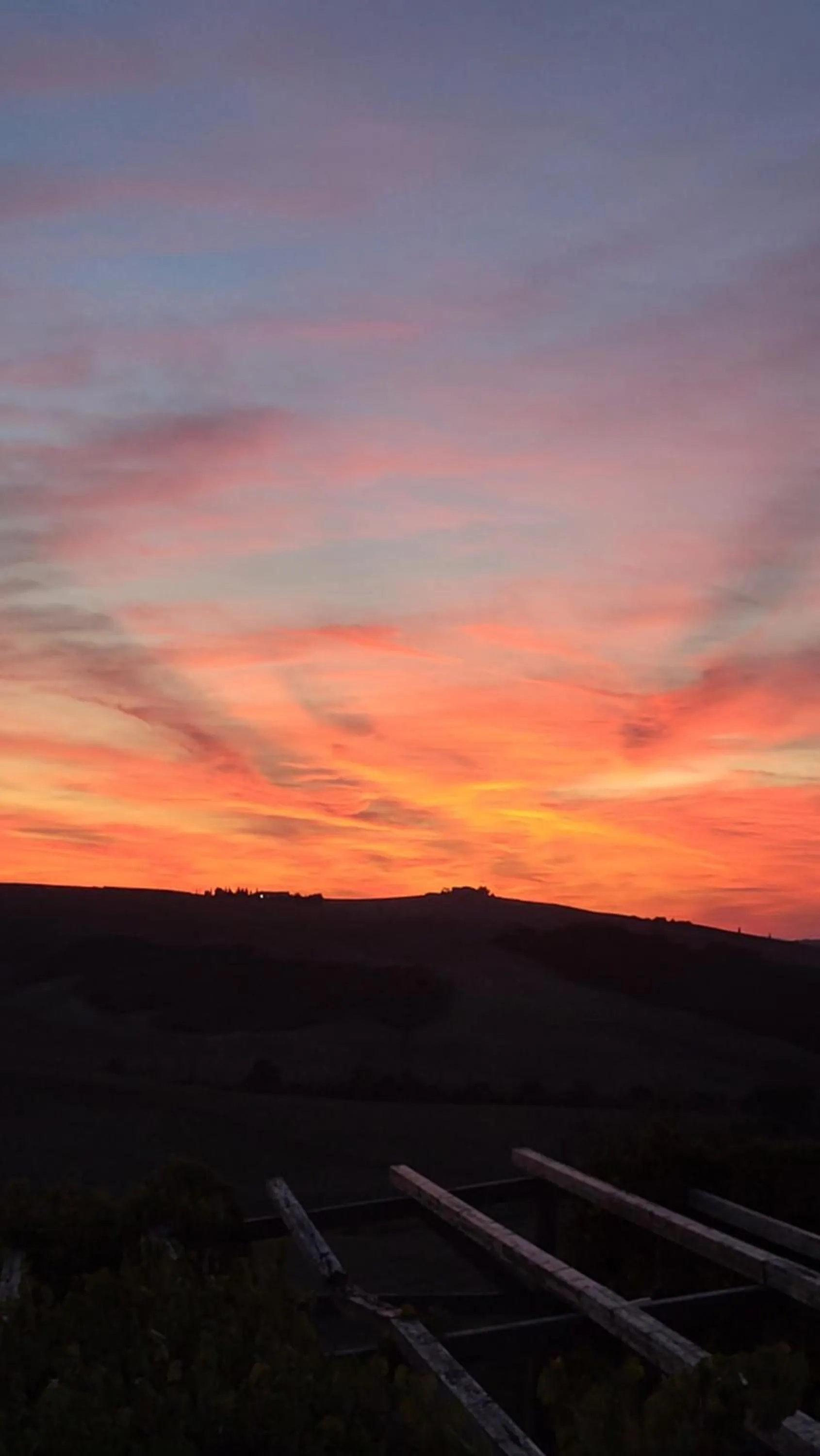 Property building in Podere Spedalone