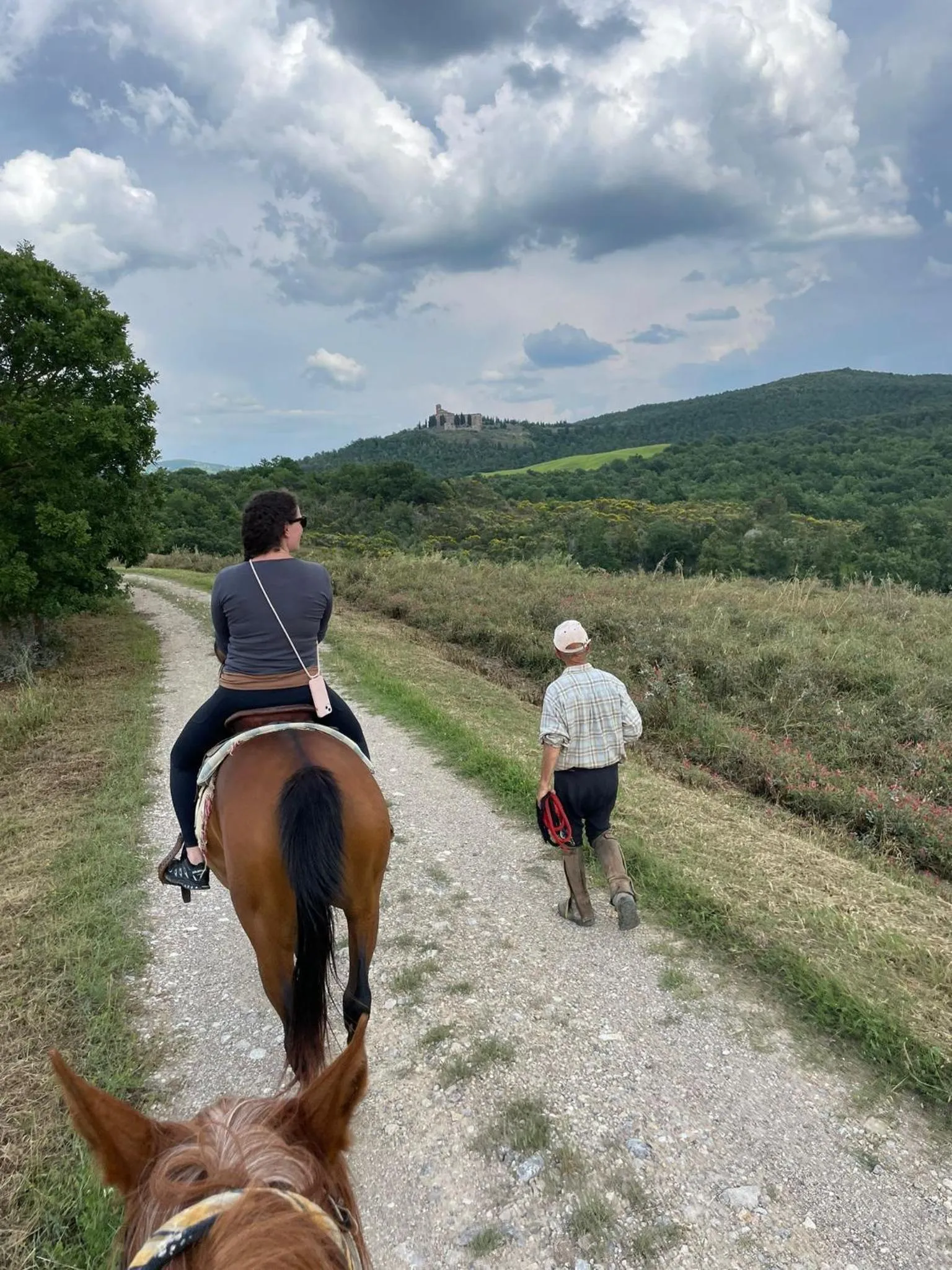 Activities in Podere Spedalone