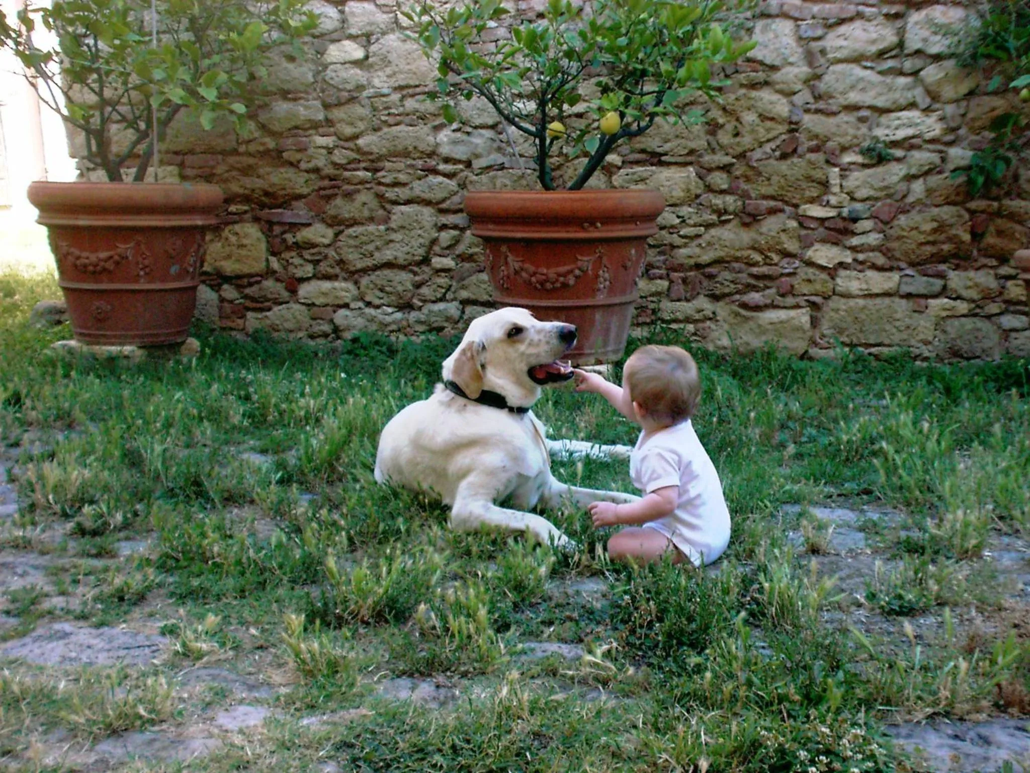 Summer in Podere Spedalone