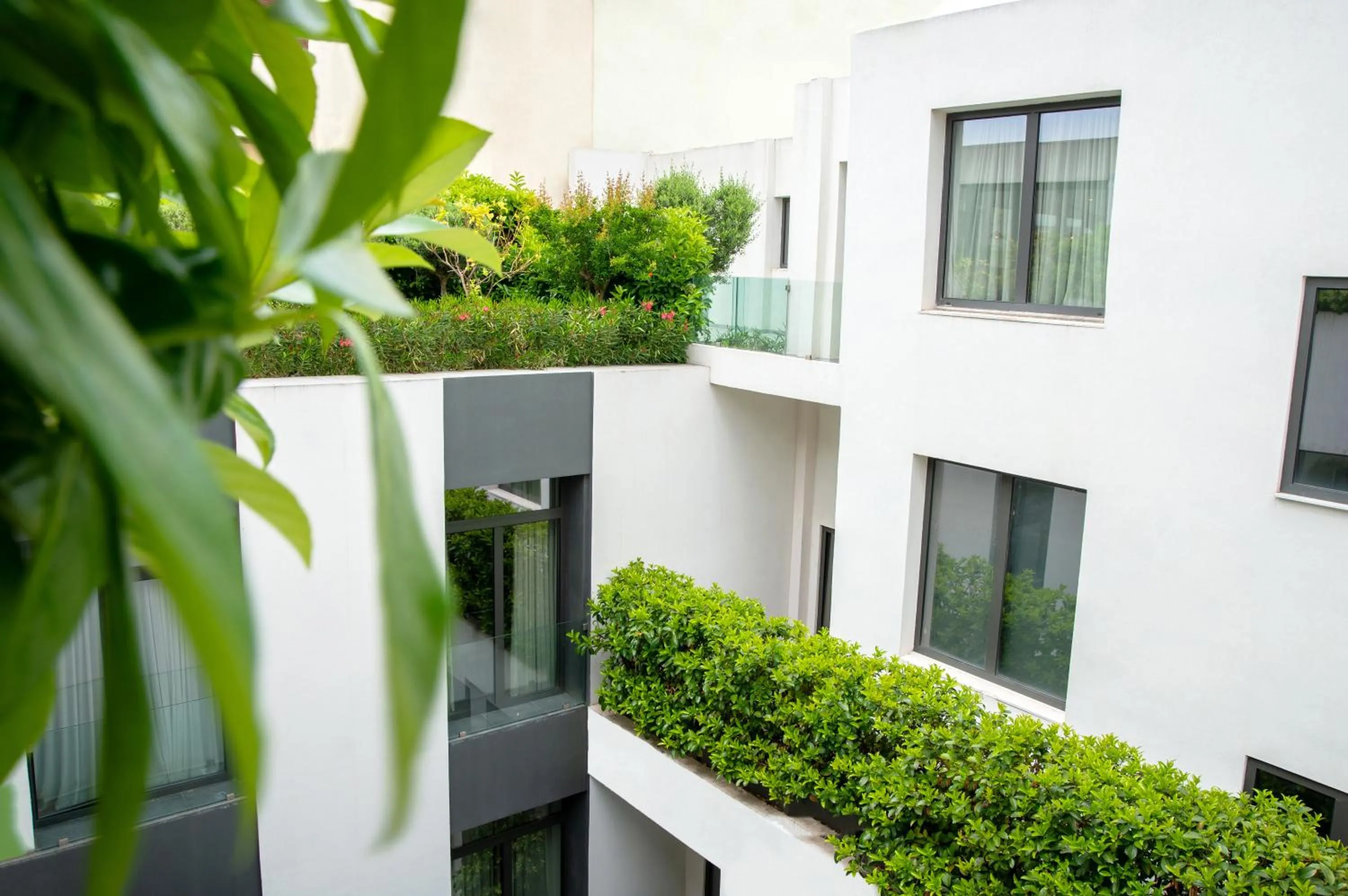 Balcony/Terrace in The Editor Hotel Athens
