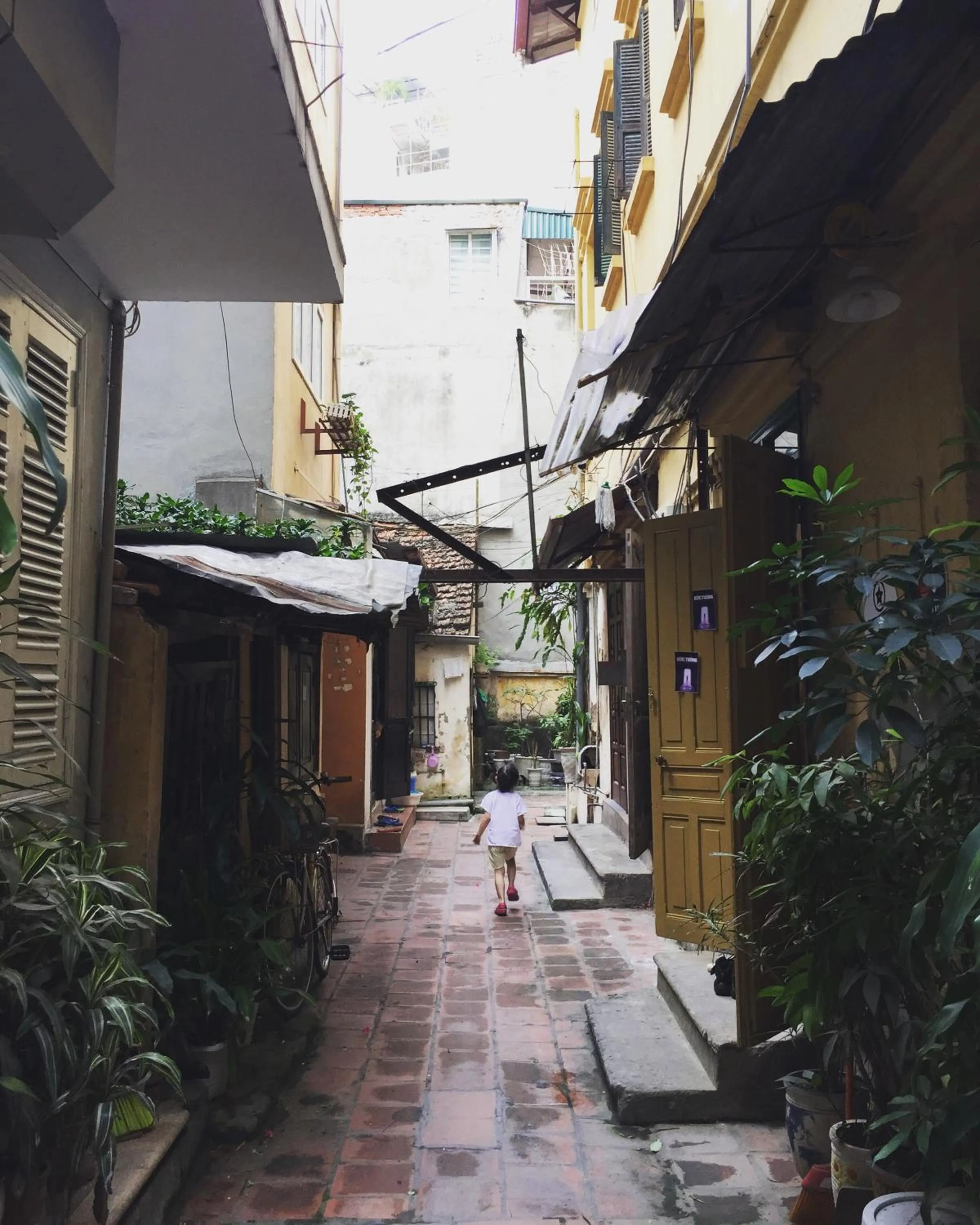 Day in Hanowood Homestay