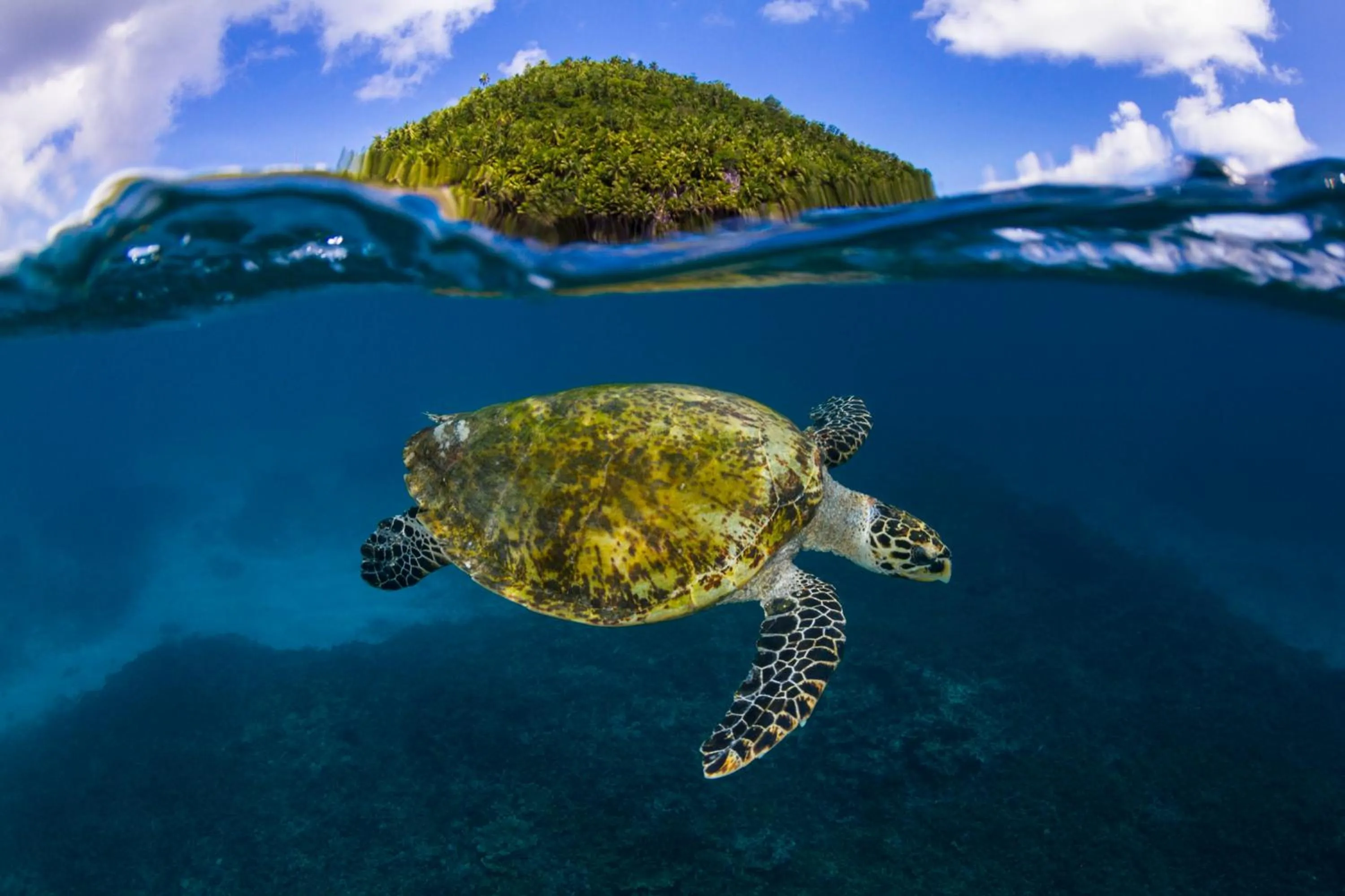 Activities in Four Seasons Resort Seychelles