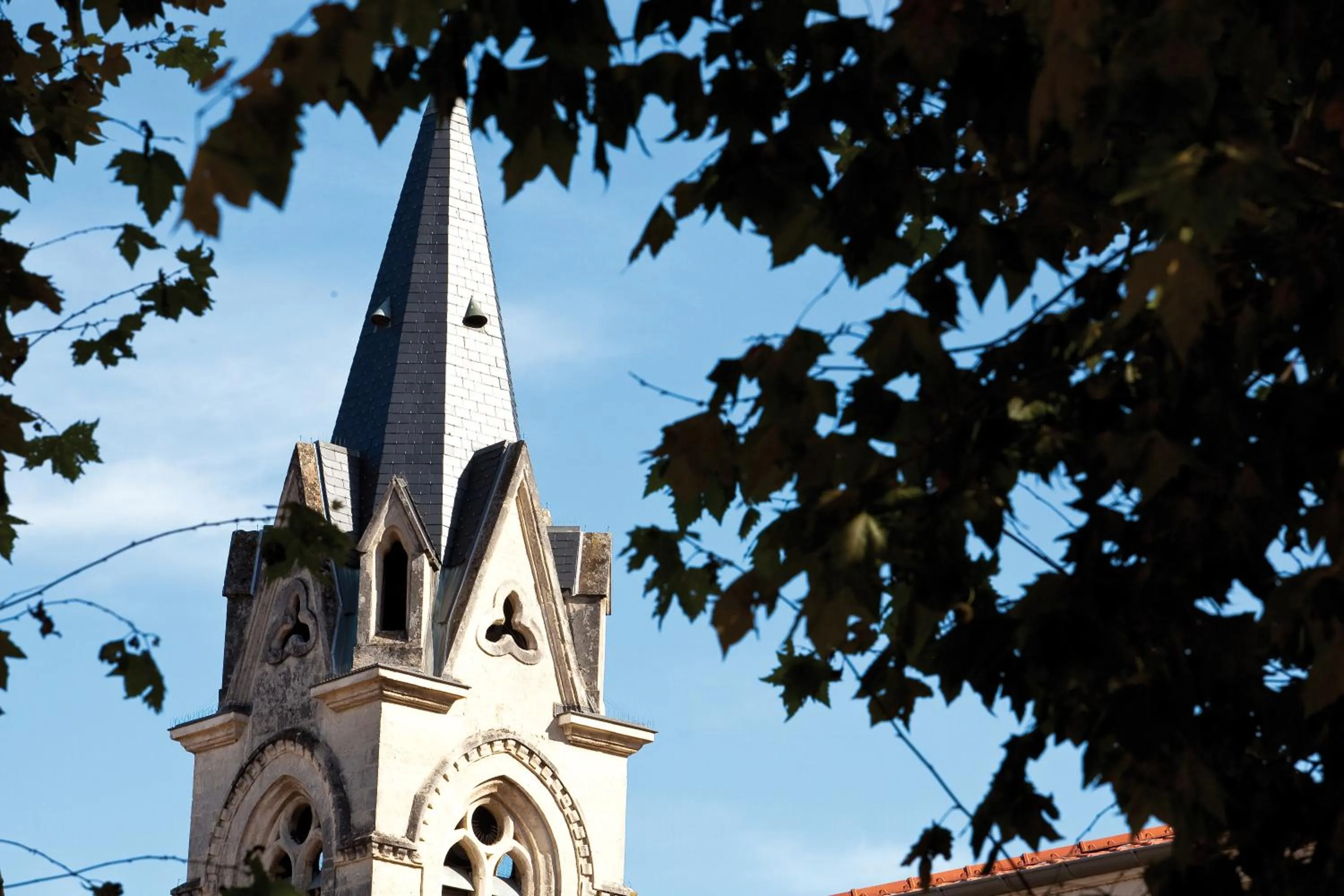 Other in Logis Hôtel Restaurant Azalées