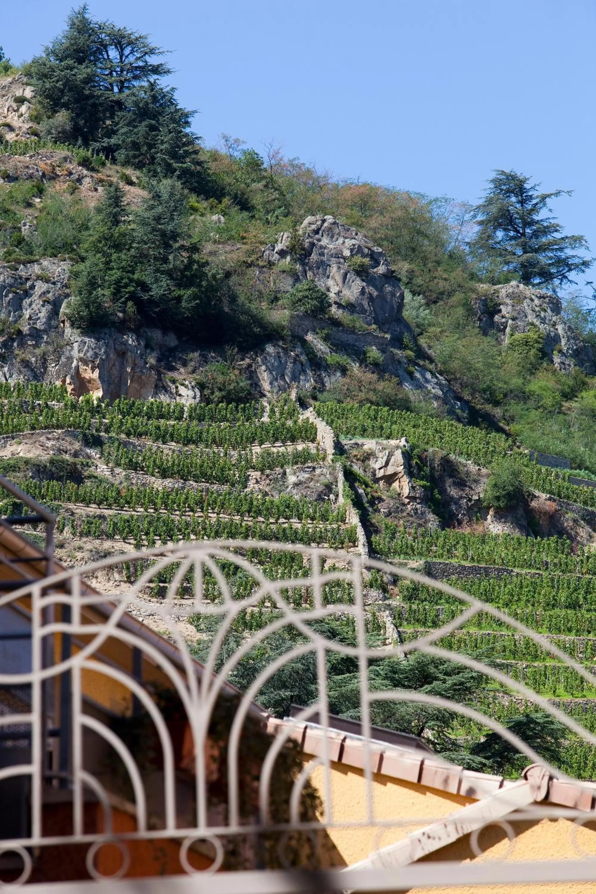 View (from property/room) in Logis Hôtel Restaurant Azalées