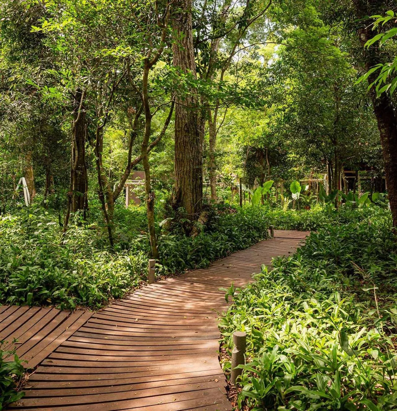 Hiking in Village Cataratas