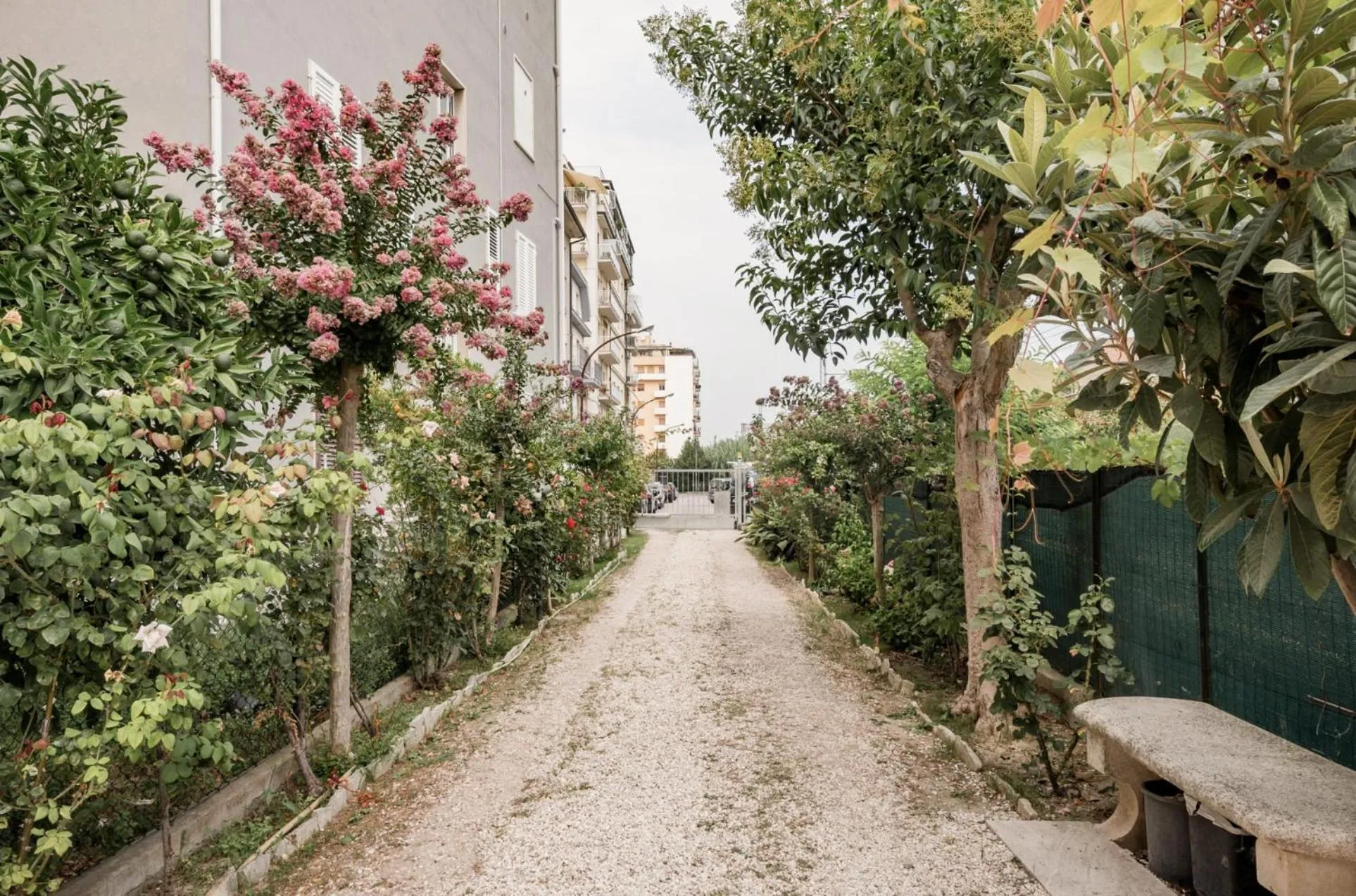 Garden in Casa Patrizi