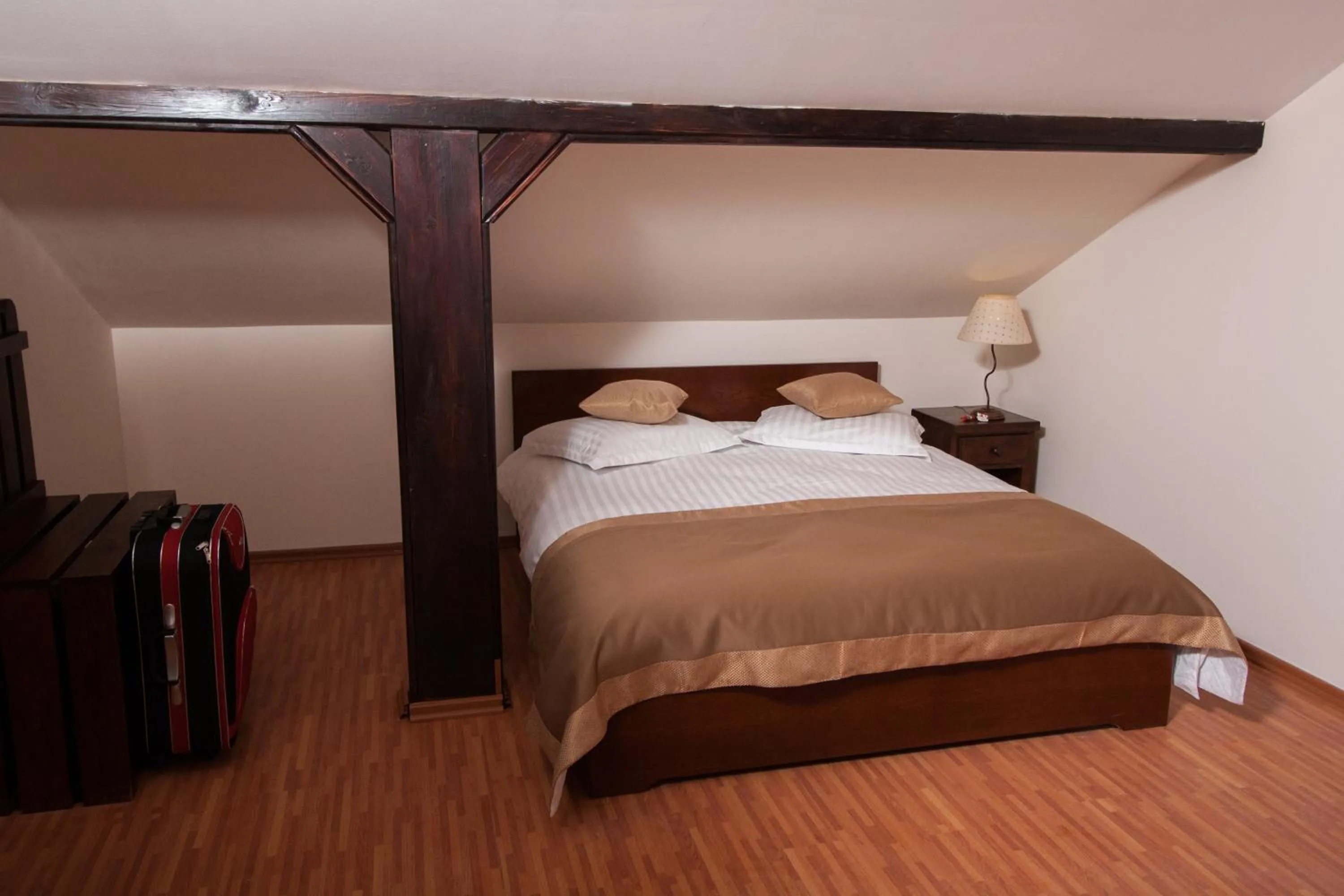 Complex Mona Caraiman