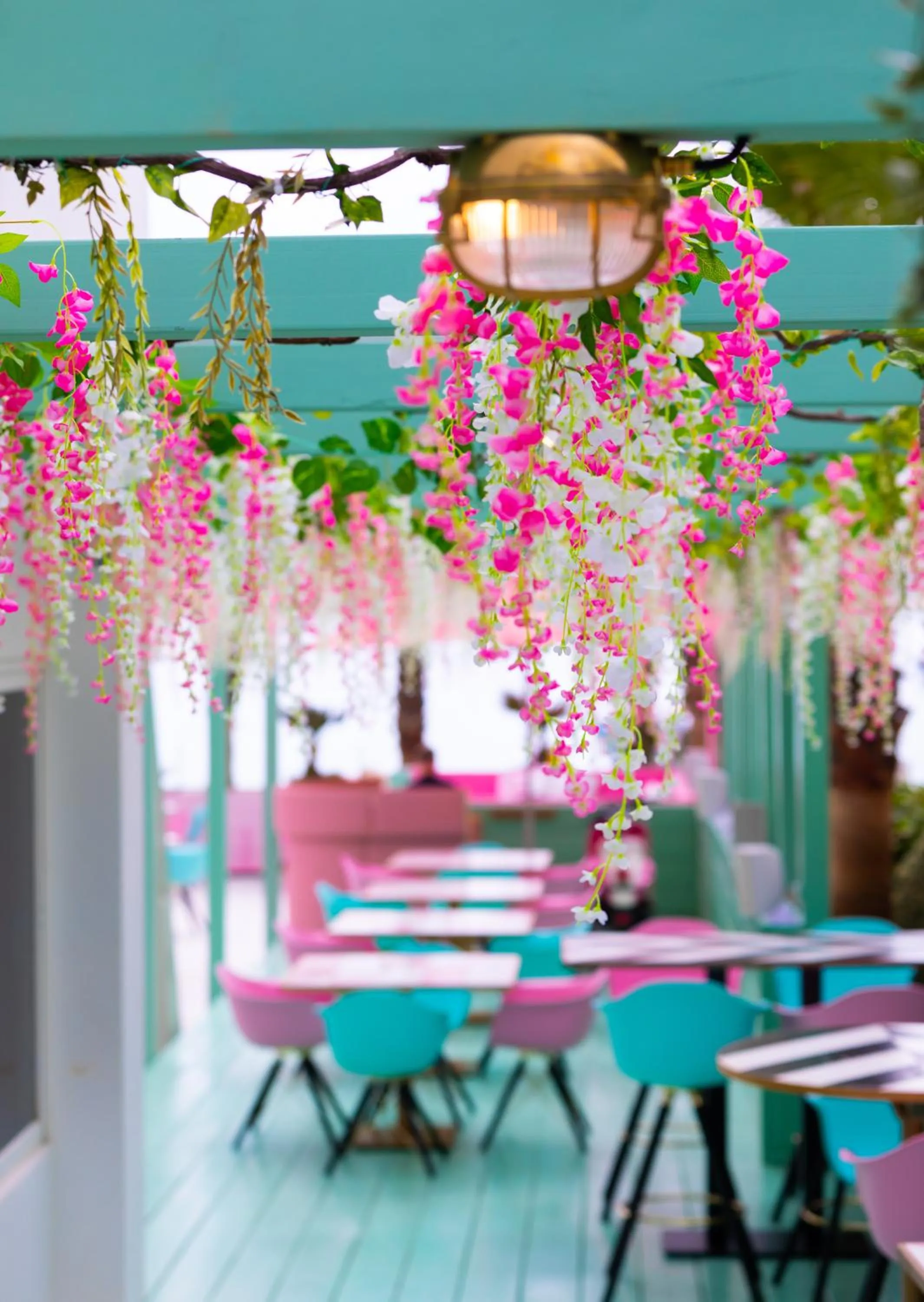 Restaurant/places to eat in Wi-Ki-Woo Boutique Hotel