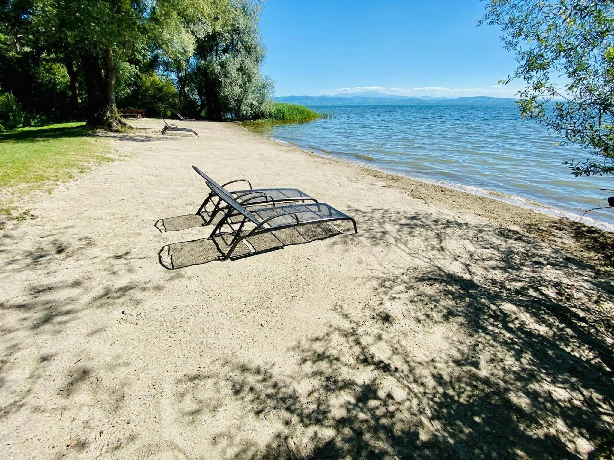 Natural landscape in Ferien-Apartment Haubentaucher - mit priv Strandzugang