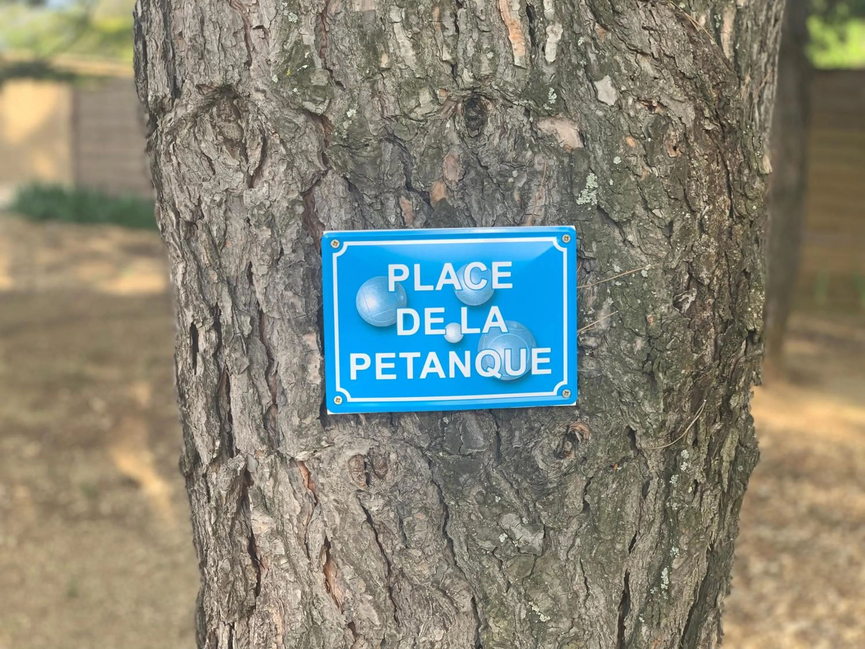 Sports in Domaine Des Écureuils