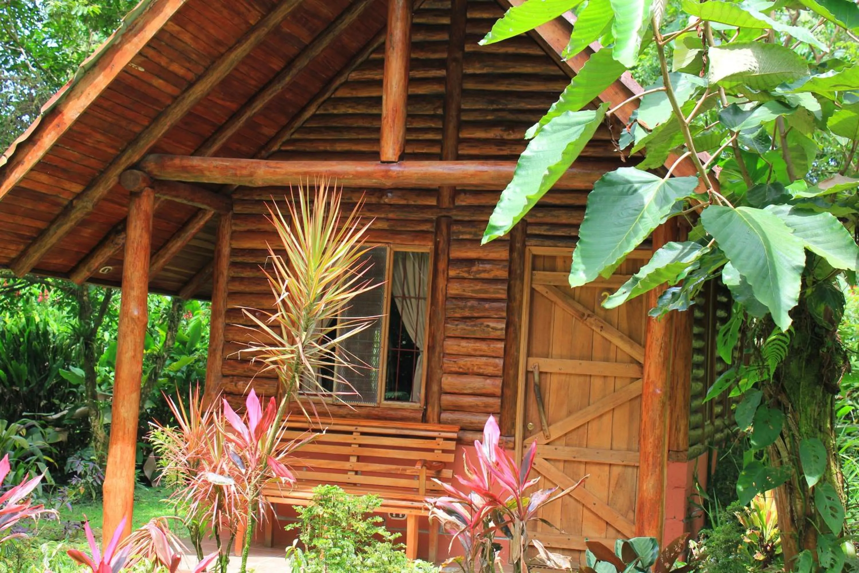 Patio in Arenal Oasis Eco Lodge & Wildlife Refuge