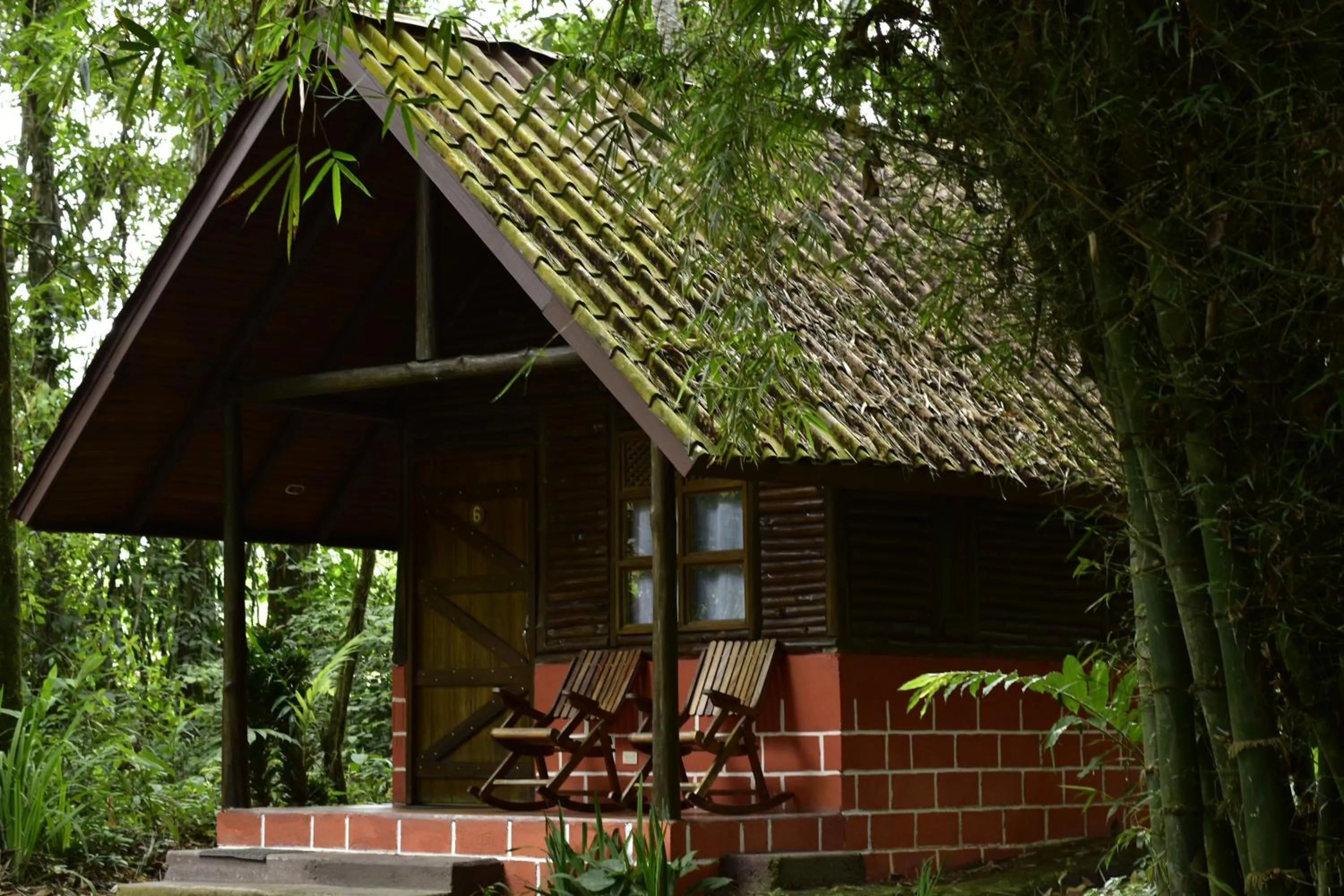 Photo of the whole room in Arenal Oasis Eco Lodge & Wildlife Refuge