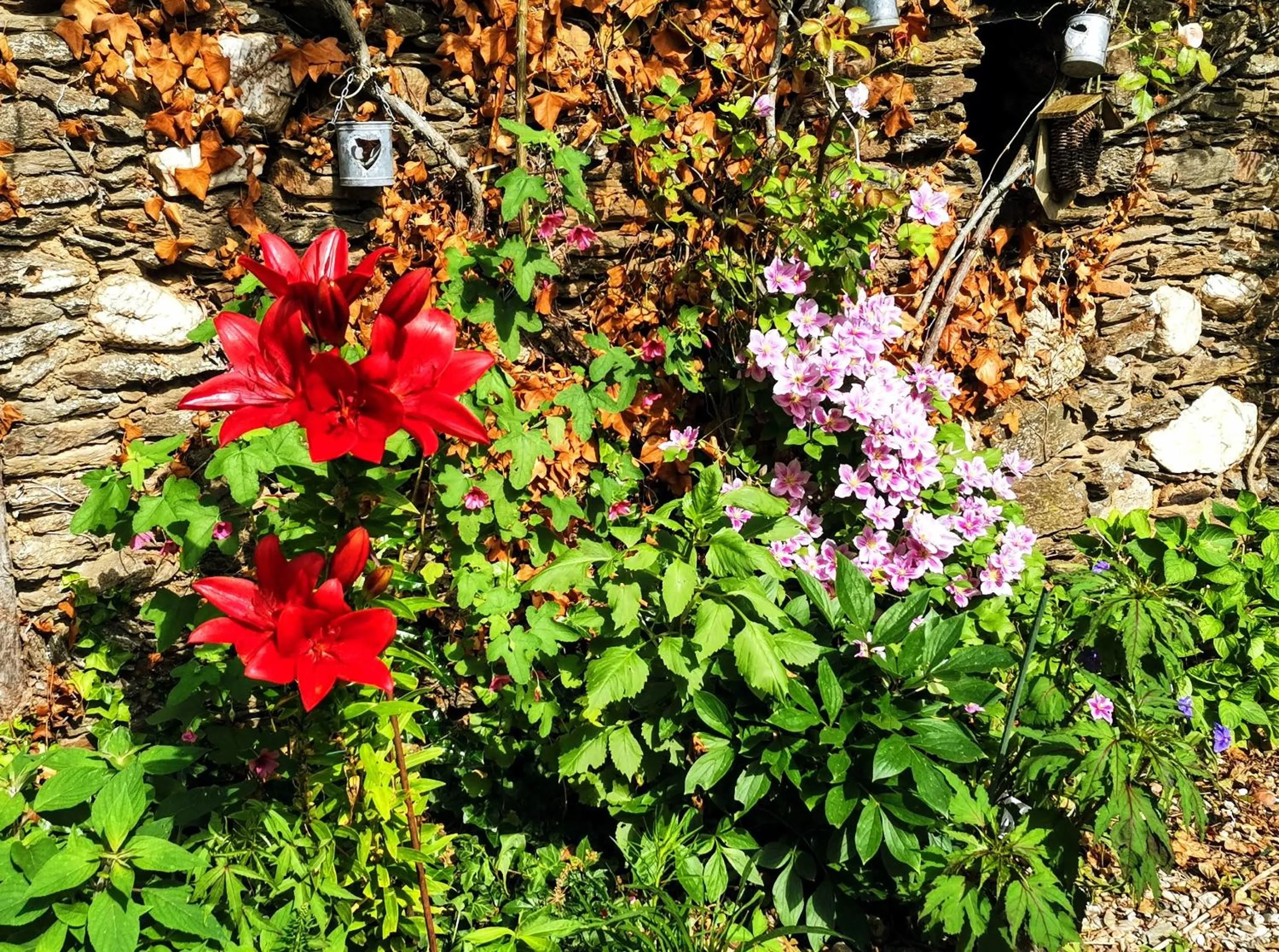 Garden in Chambres d'Hôtes Le Puits d'Amour