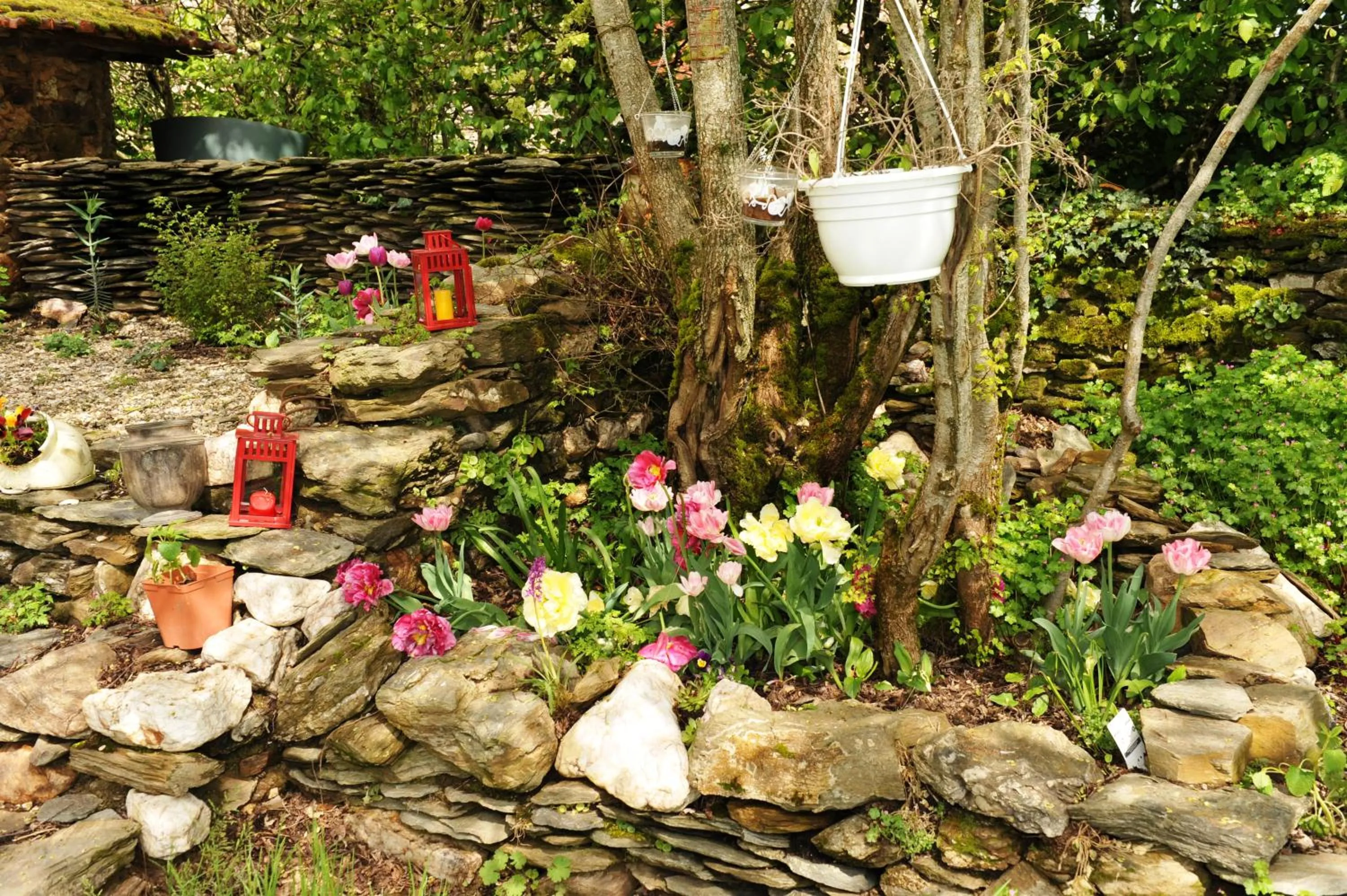 Garden in Chambres d'Hôtes Le Puits d'Amour