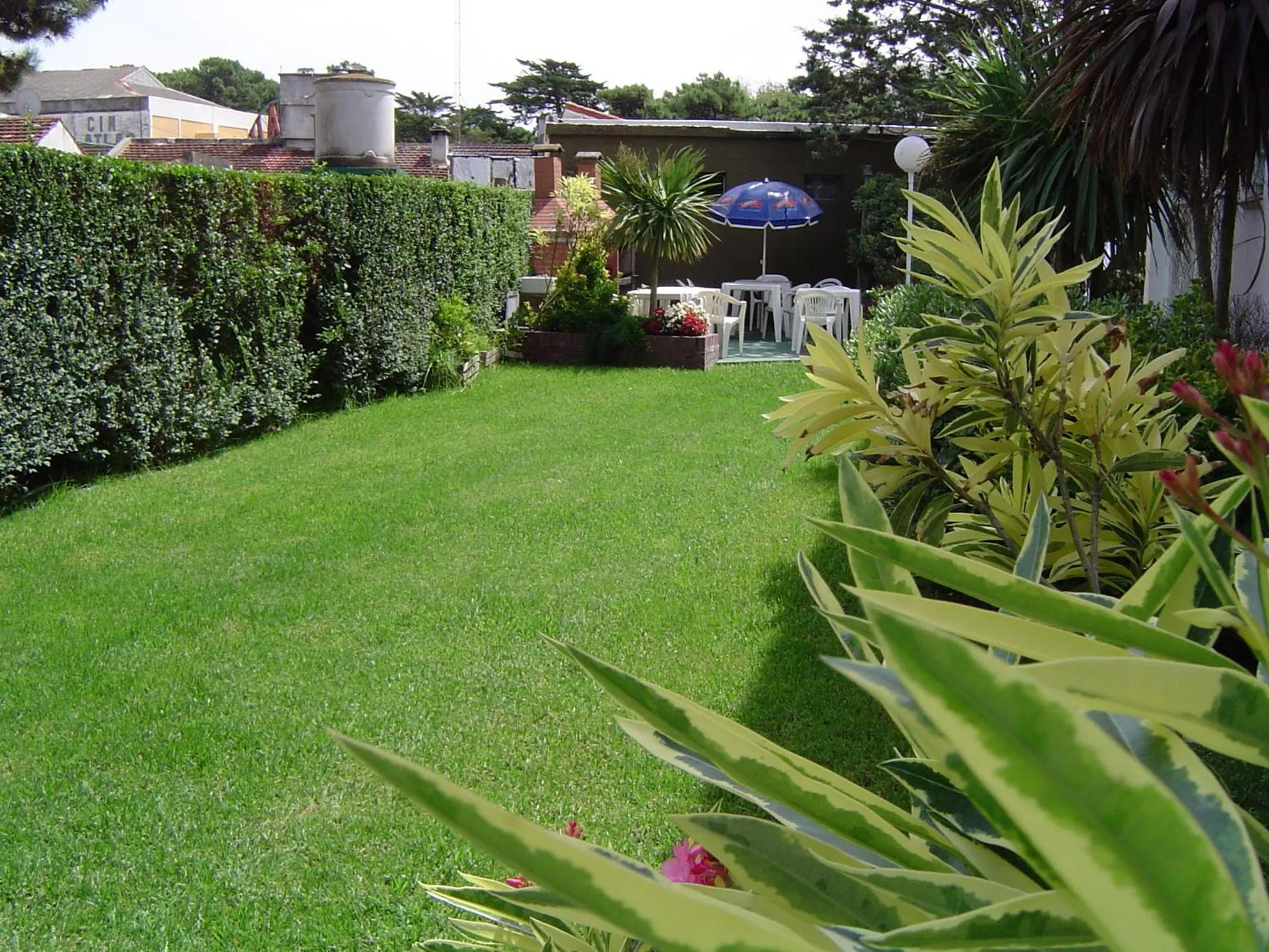 Garden view in Hotel Rideamus