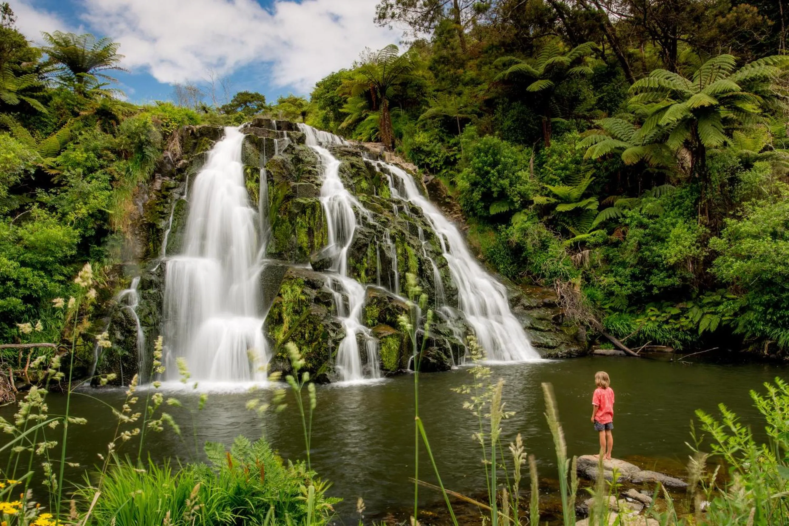Natural landscape in Tasman Holiday Parks - Beachaven
