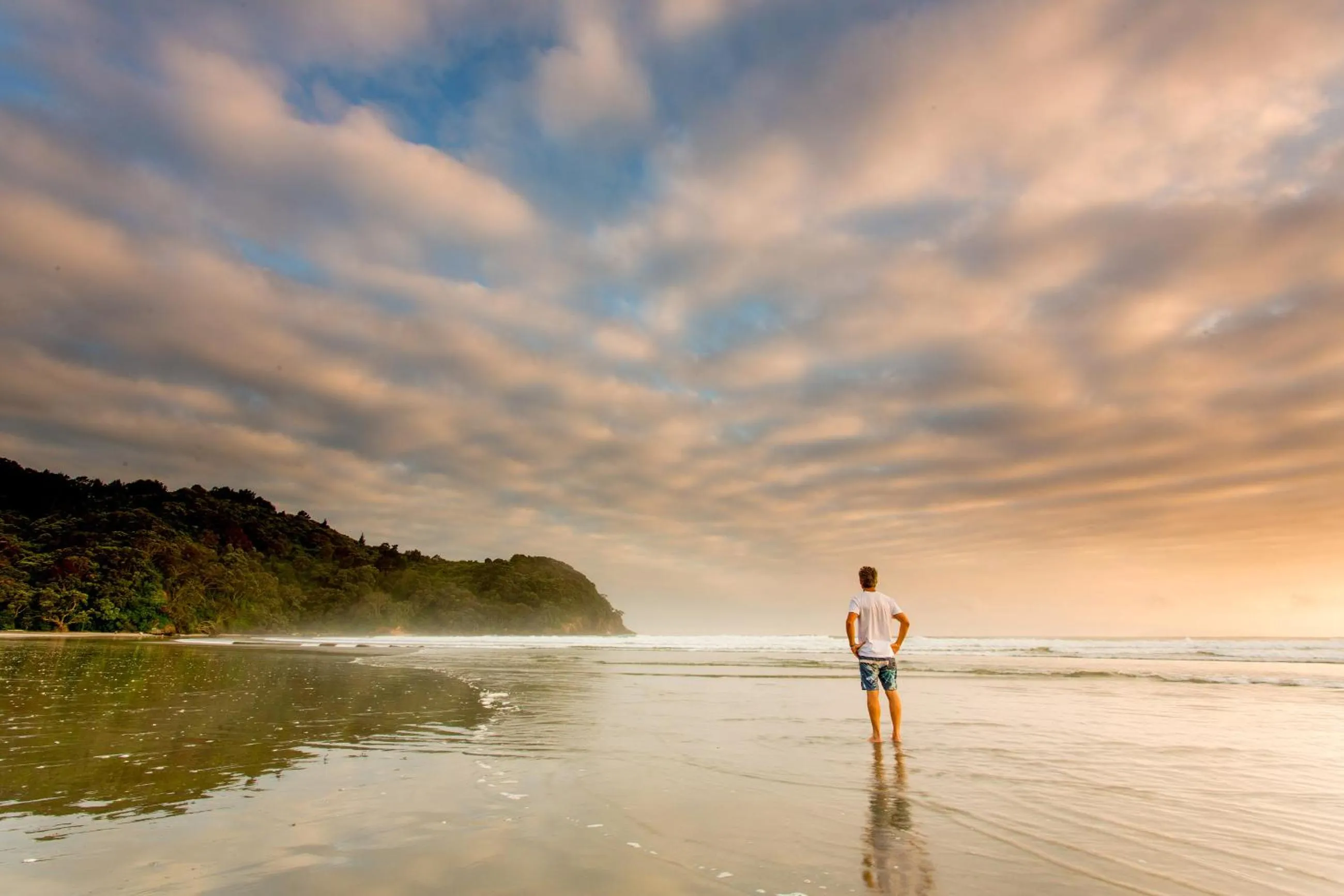 Beach in Tasman Holiday Parks - Beachaven
