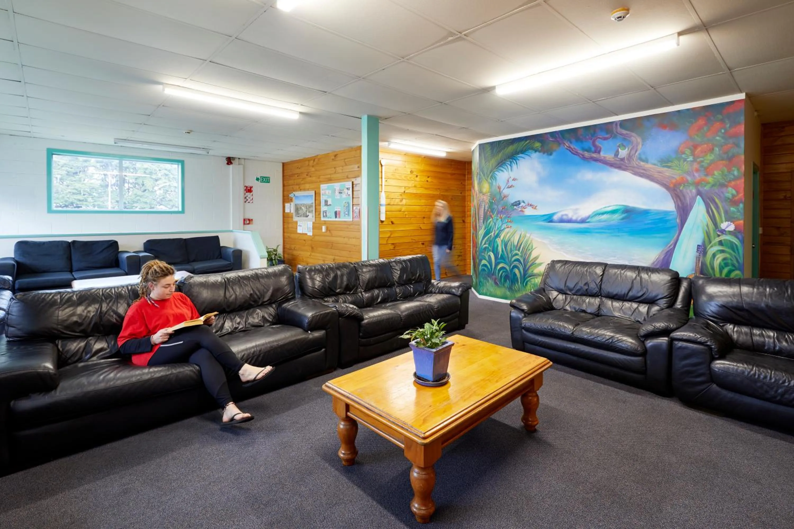 Living room in Pacific Coast Lodge and Backpackers