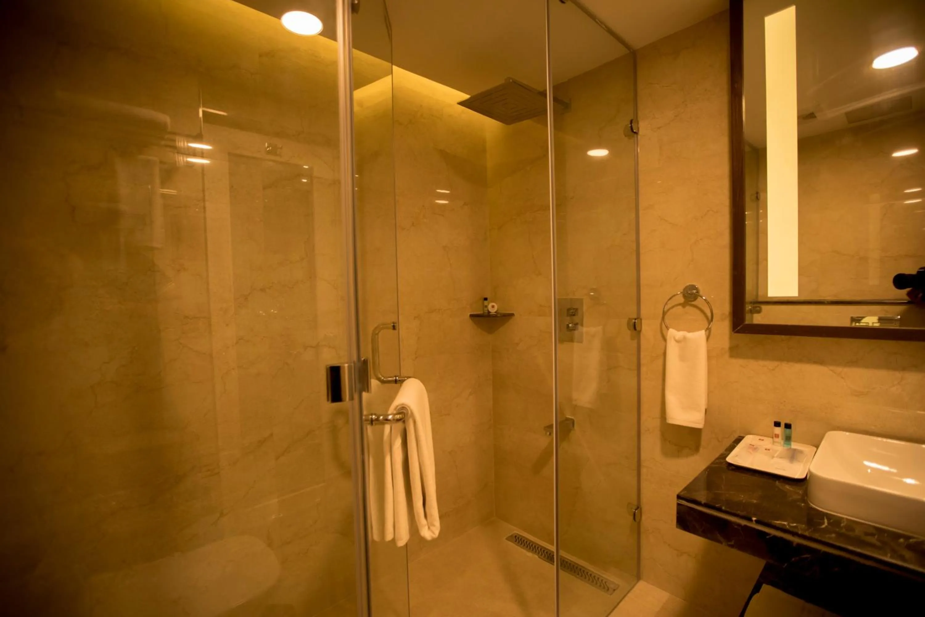 Bathroom in S Hotels Chennai