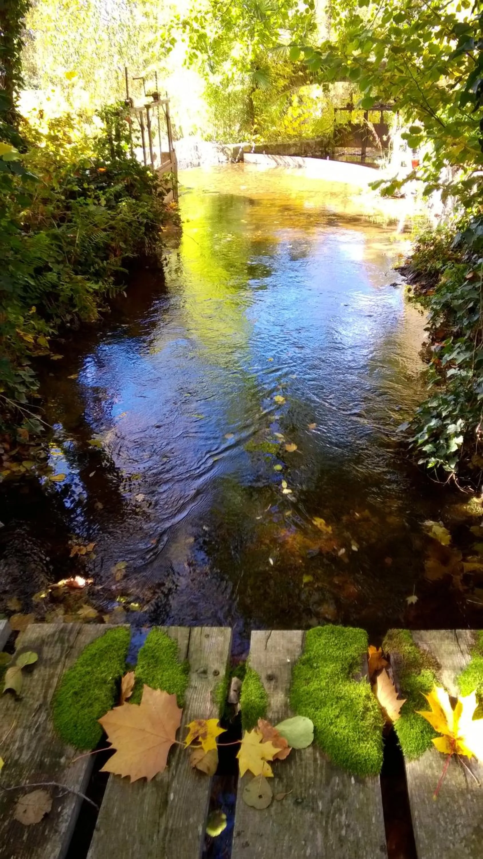 Garden in Château de la Vernède, la Grande Vernède
