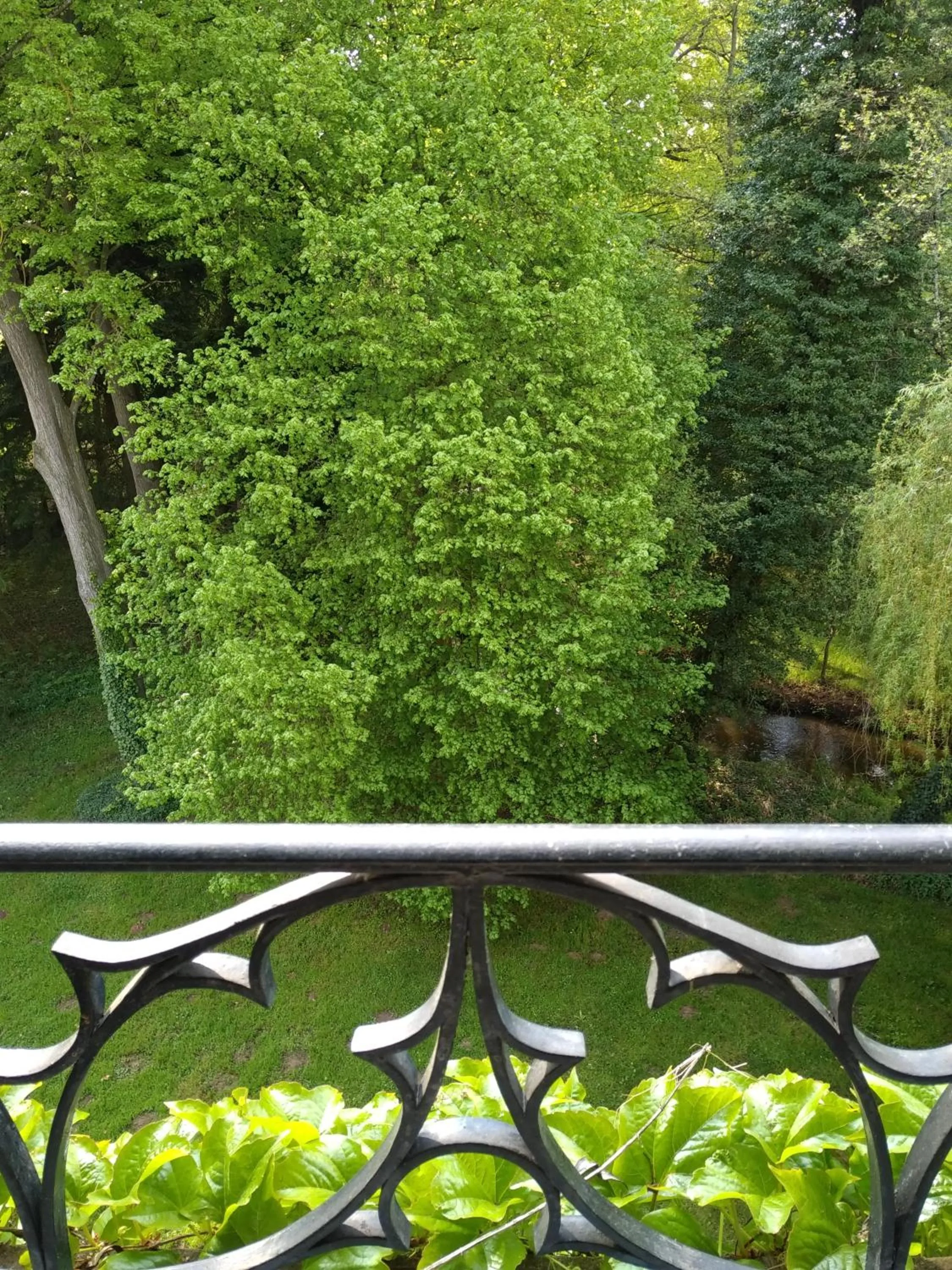 Garden in Château de la Vernède, la Grande Vernède