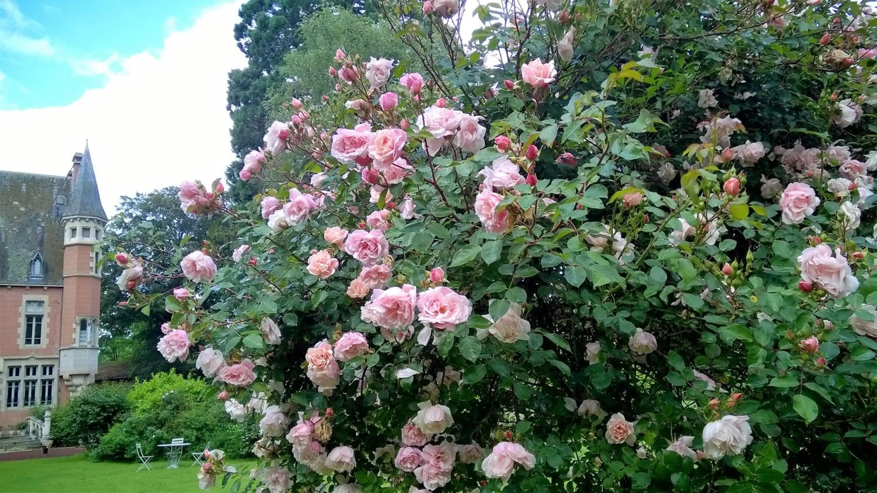 Garden in Château de la Vernède, la Grande Vernède