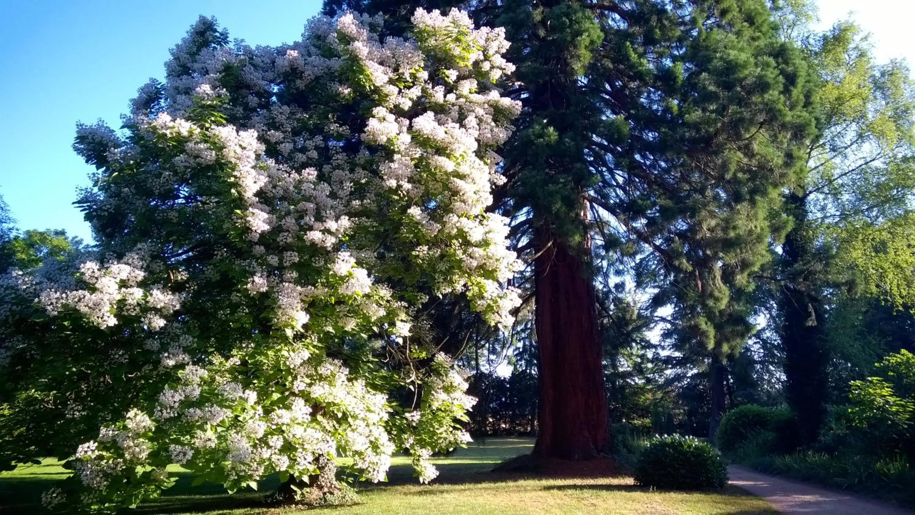Garden in Château de la Vernède, la Grande Vernède