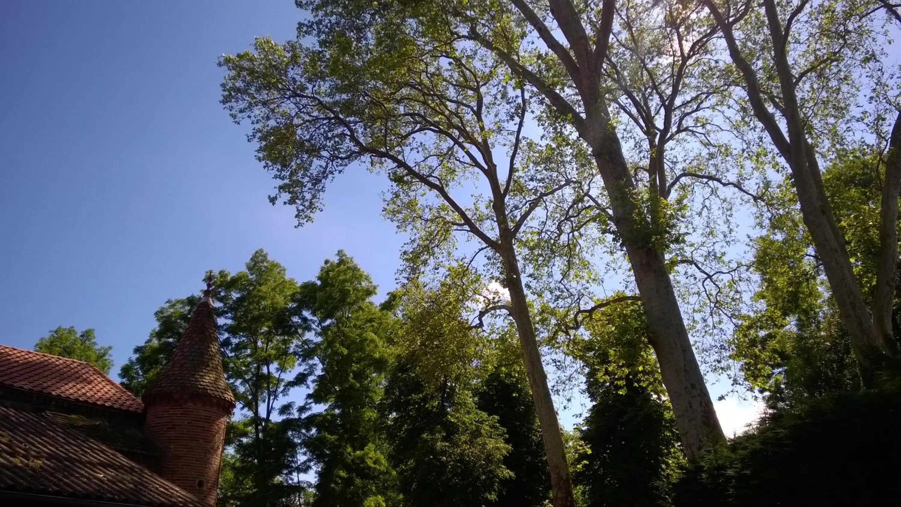 Garden in Château de la Vernède, la Grande Vernède