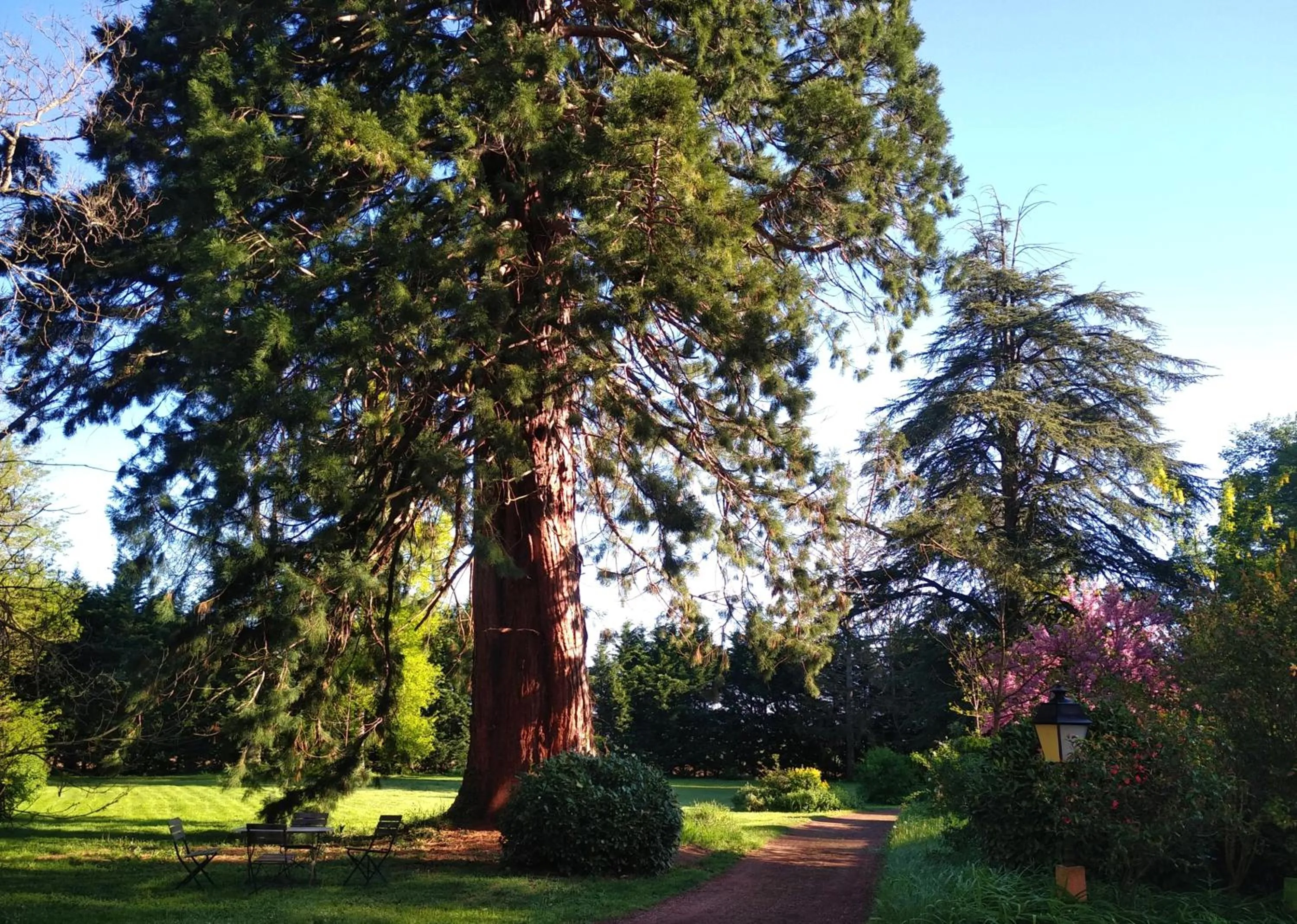 Garden view in Château de la Vernède, la Grande Vernède