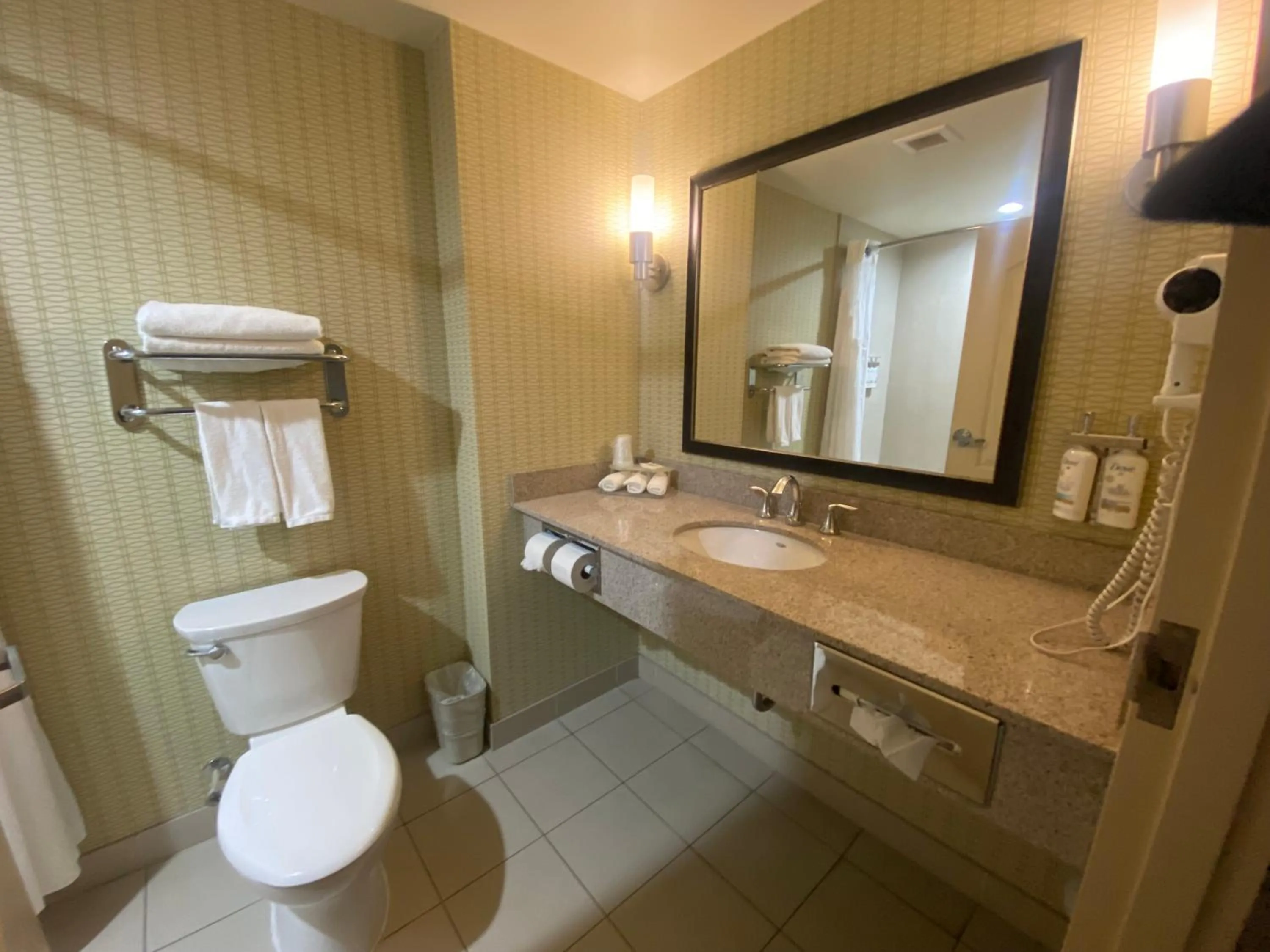 Toilet in Wingate by Wyndham Fort Saskatchewan