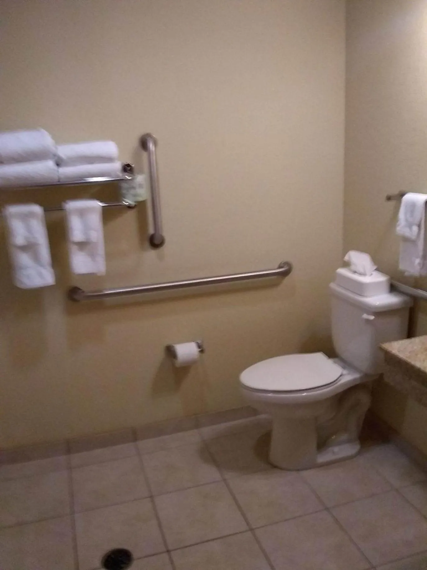Toilet in Cobblestone Inn & Suites - Marquette