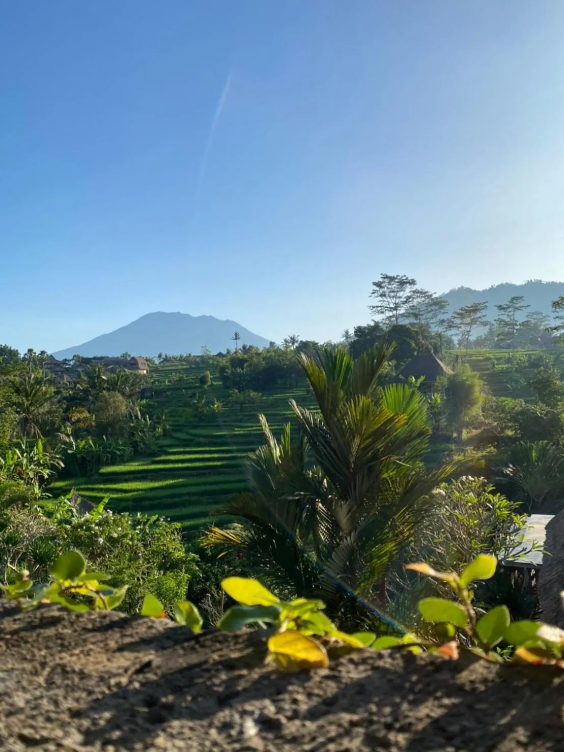 Natural landscape in Abian Ayu Villa