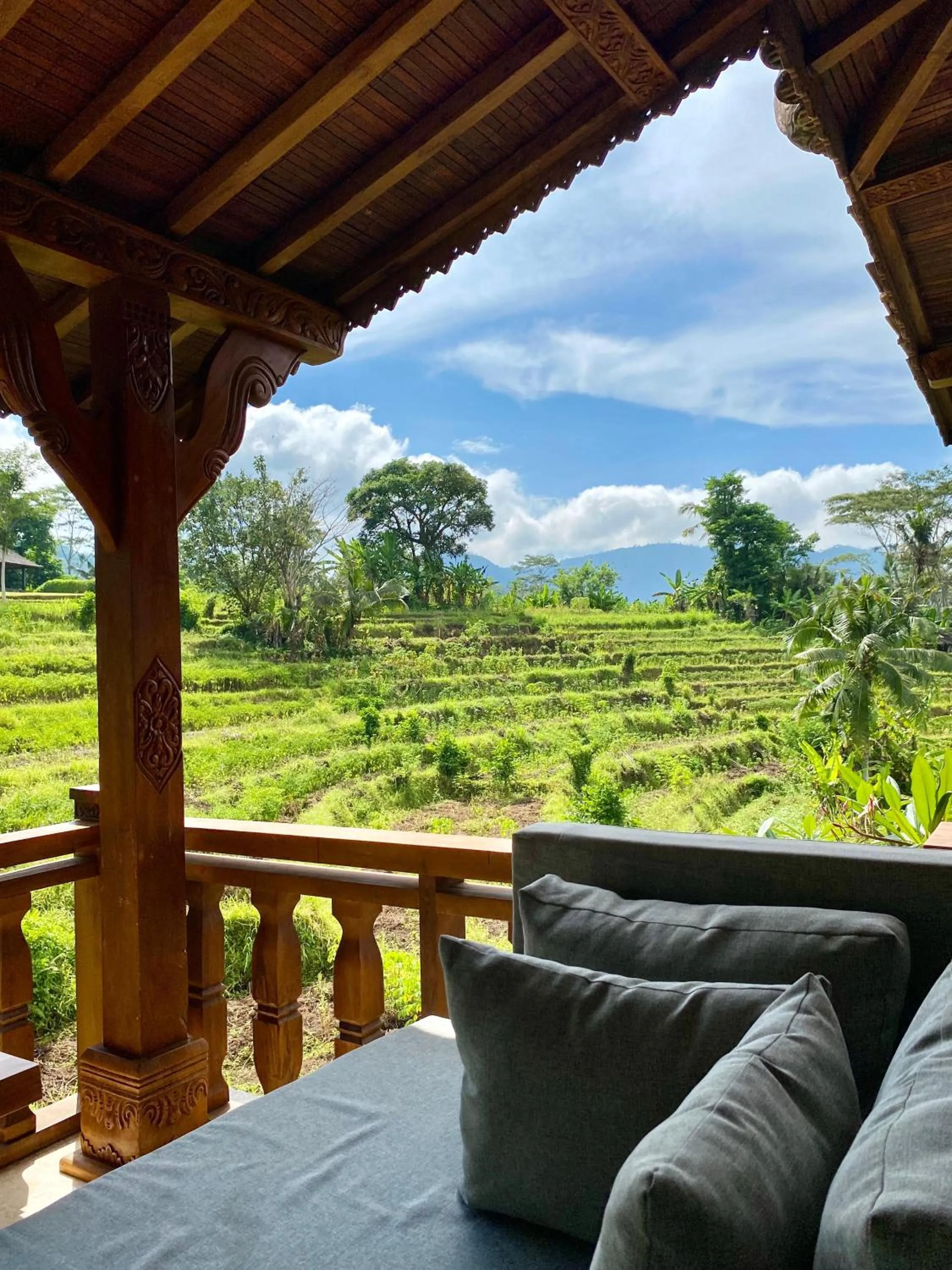 Natural landscape in Abian Ayu Villa