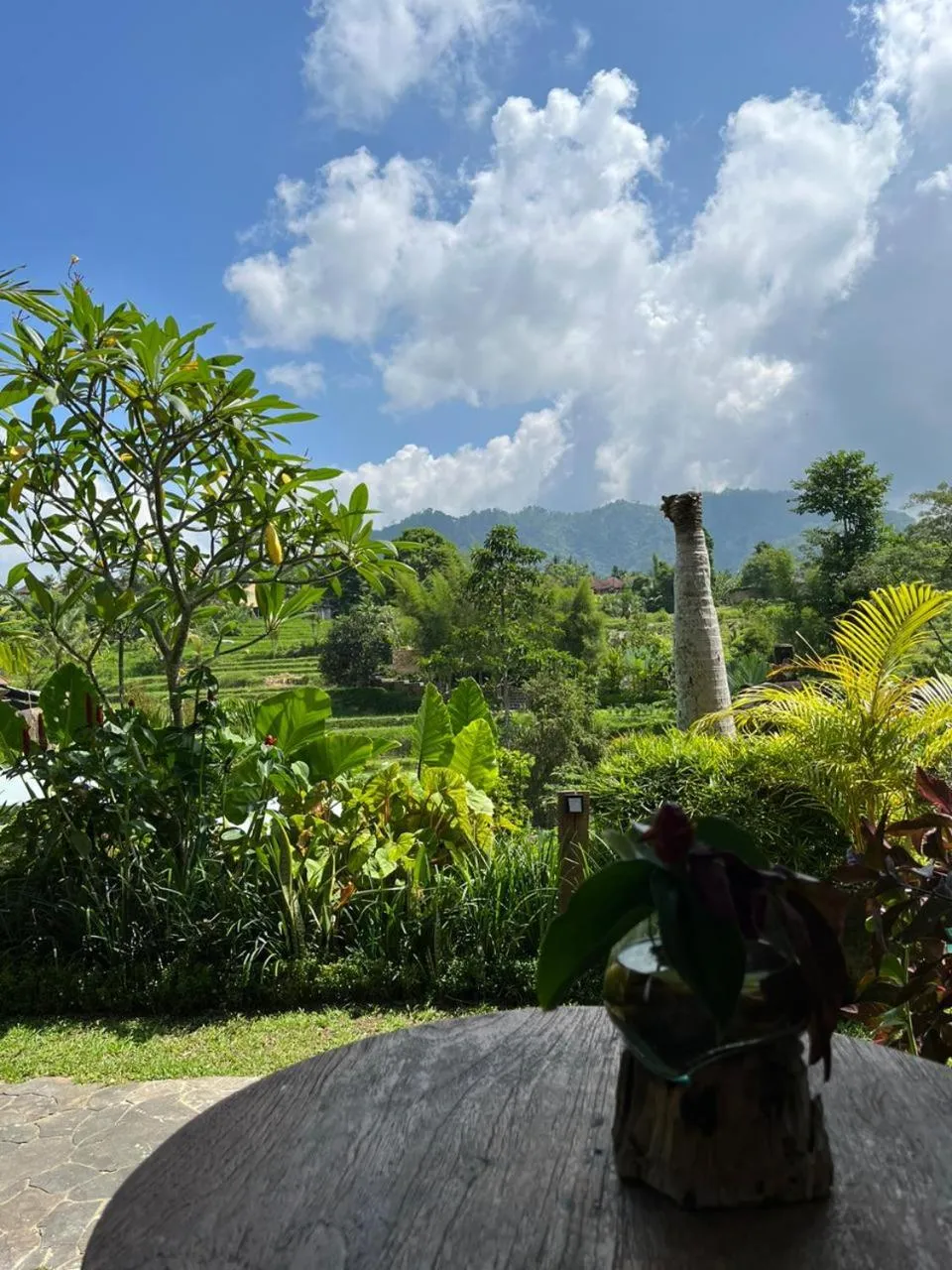 View (from property/room) in Abian Ayu Villa